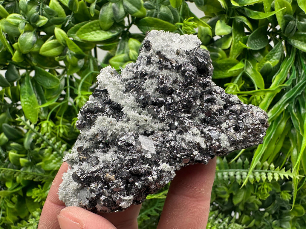 Sphalerite on Green Quartz, Madan Bulgaria, Mineral Specimen