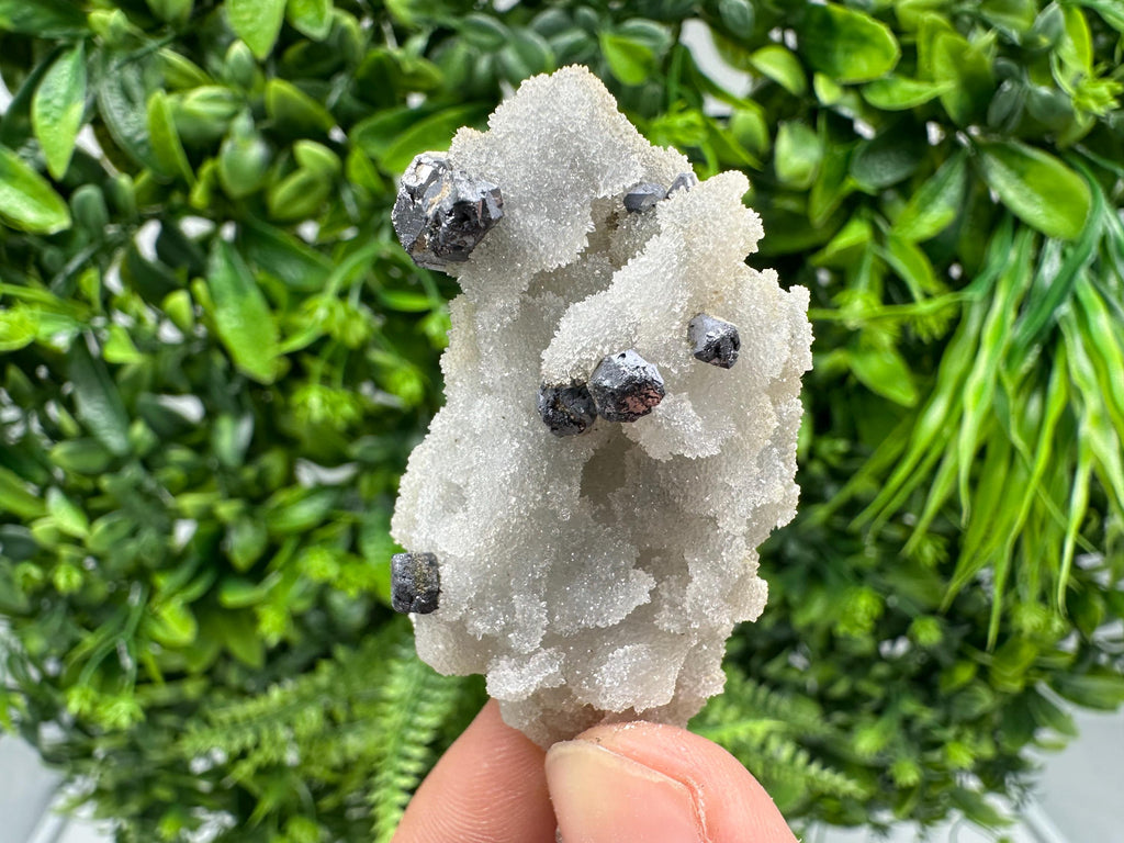 Rare Galena on Chalcedony Specimen, Madan Bulgaria Mineral