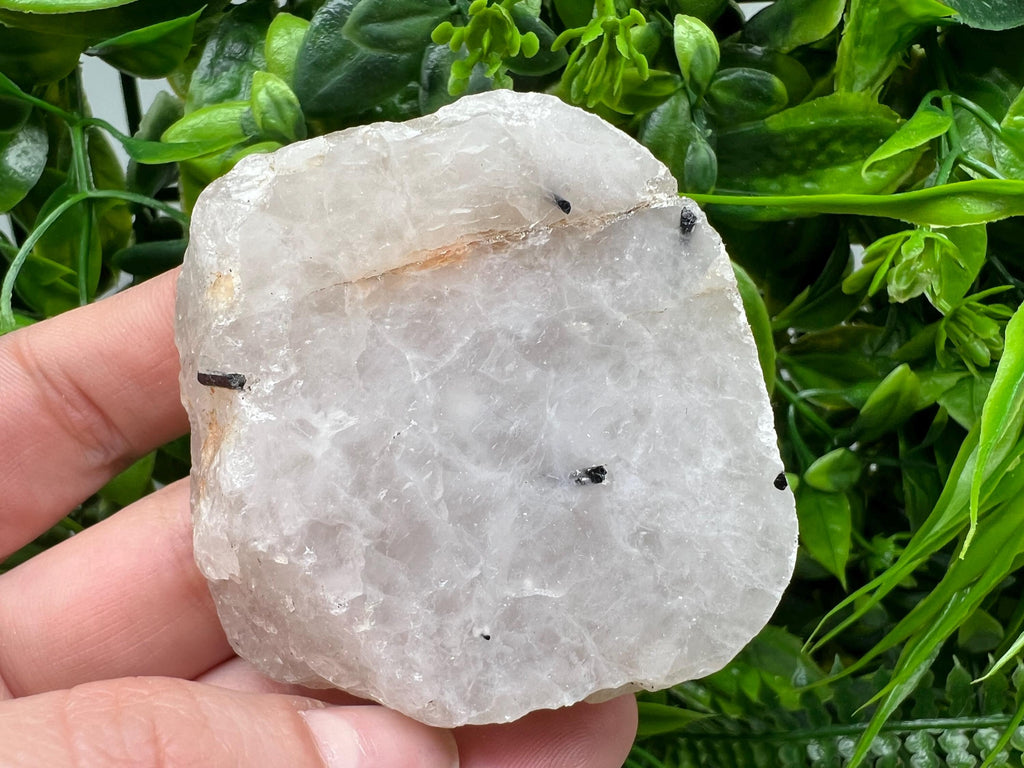 Black Tourmaline in Quartz Polished Slab