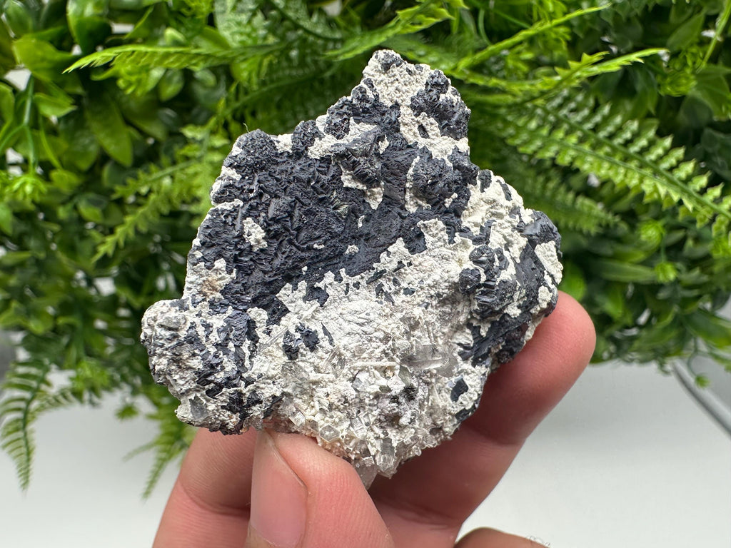 Galena Spinel Law Mineral Specimen: Krushev dol, Bulgaria