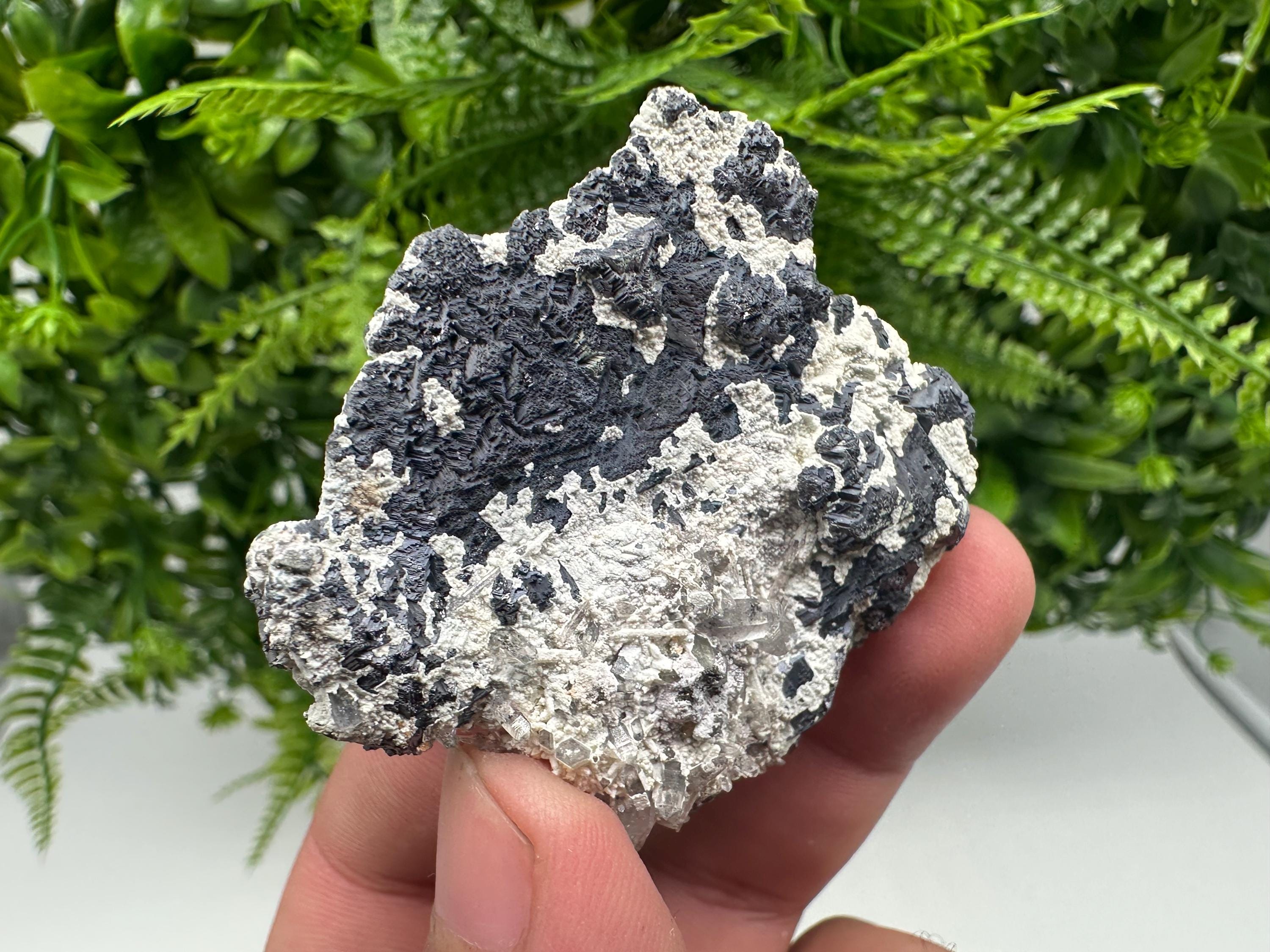 Galena Spinel Law Mineral Specimen: Krushev dol, Bulgaria