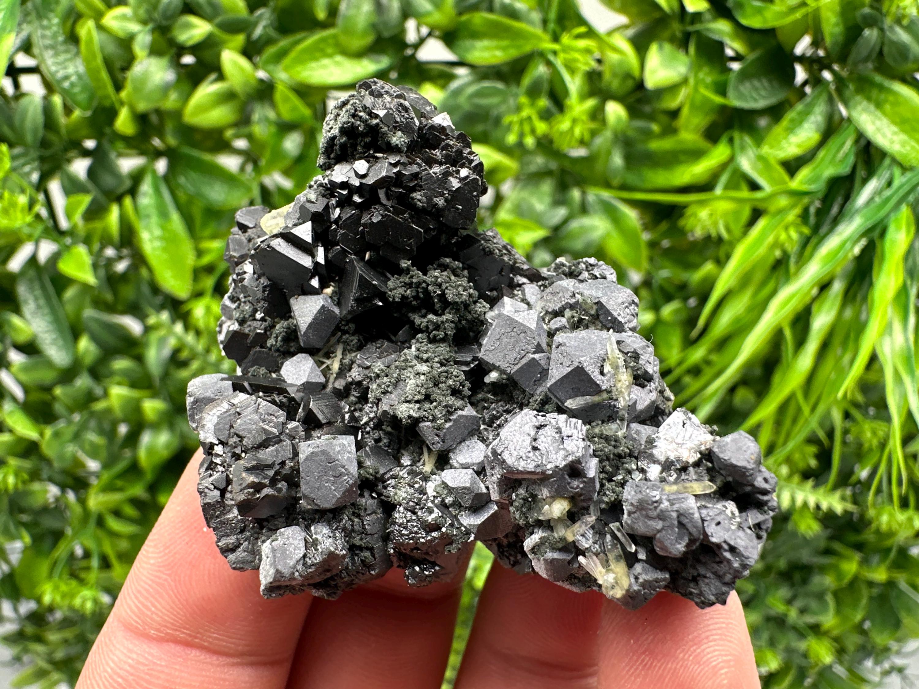 Sphalerite Galena Chlorite Cluster, Borieva Mine, Bulgaria
