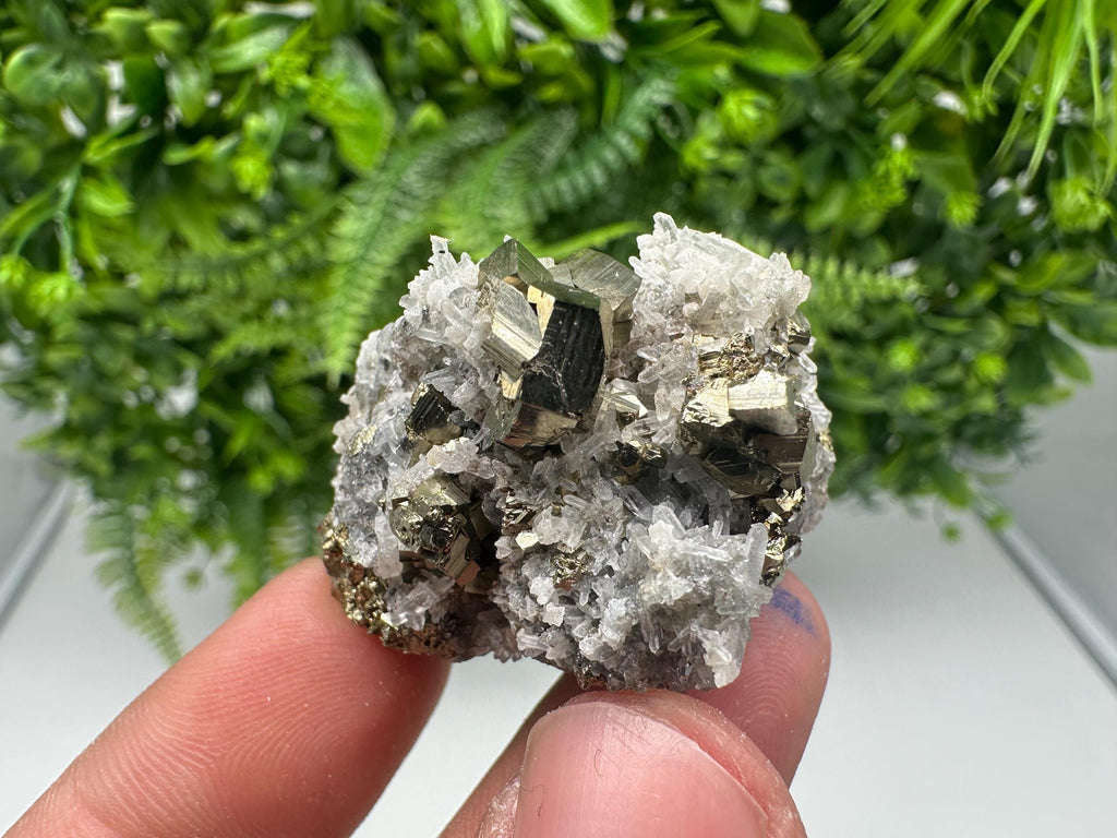 Pyrite on Green Quartz Mineral Specimen, Borieva Mine Bulgaria