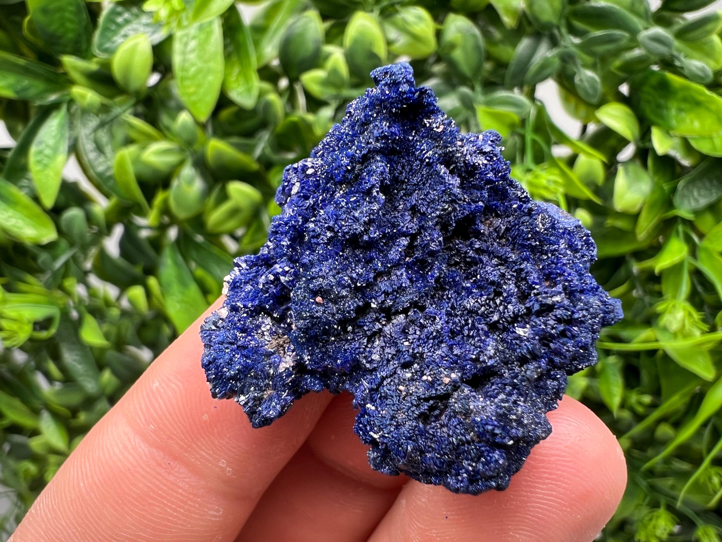 Crystallized Azurite-Kerrouchen,Morocco-Blue Azurite Specimen-High Quality Blue Azurite-Azurite Mineral Specimen, gemmy,lustrous of Azurite
