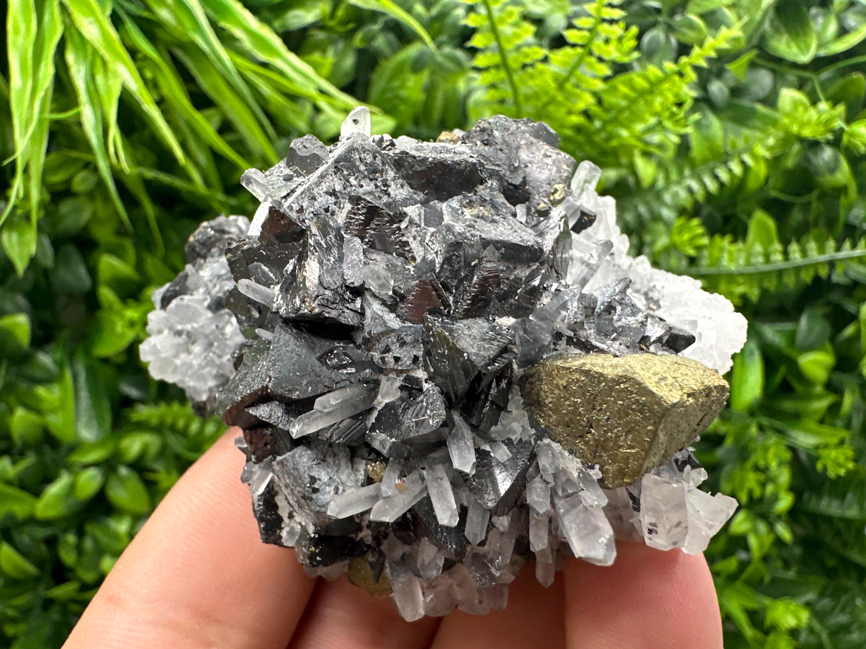 Chalcopyrite, Galena, Sphalerite on Quartz: Bulgaria Mineral Souvenir