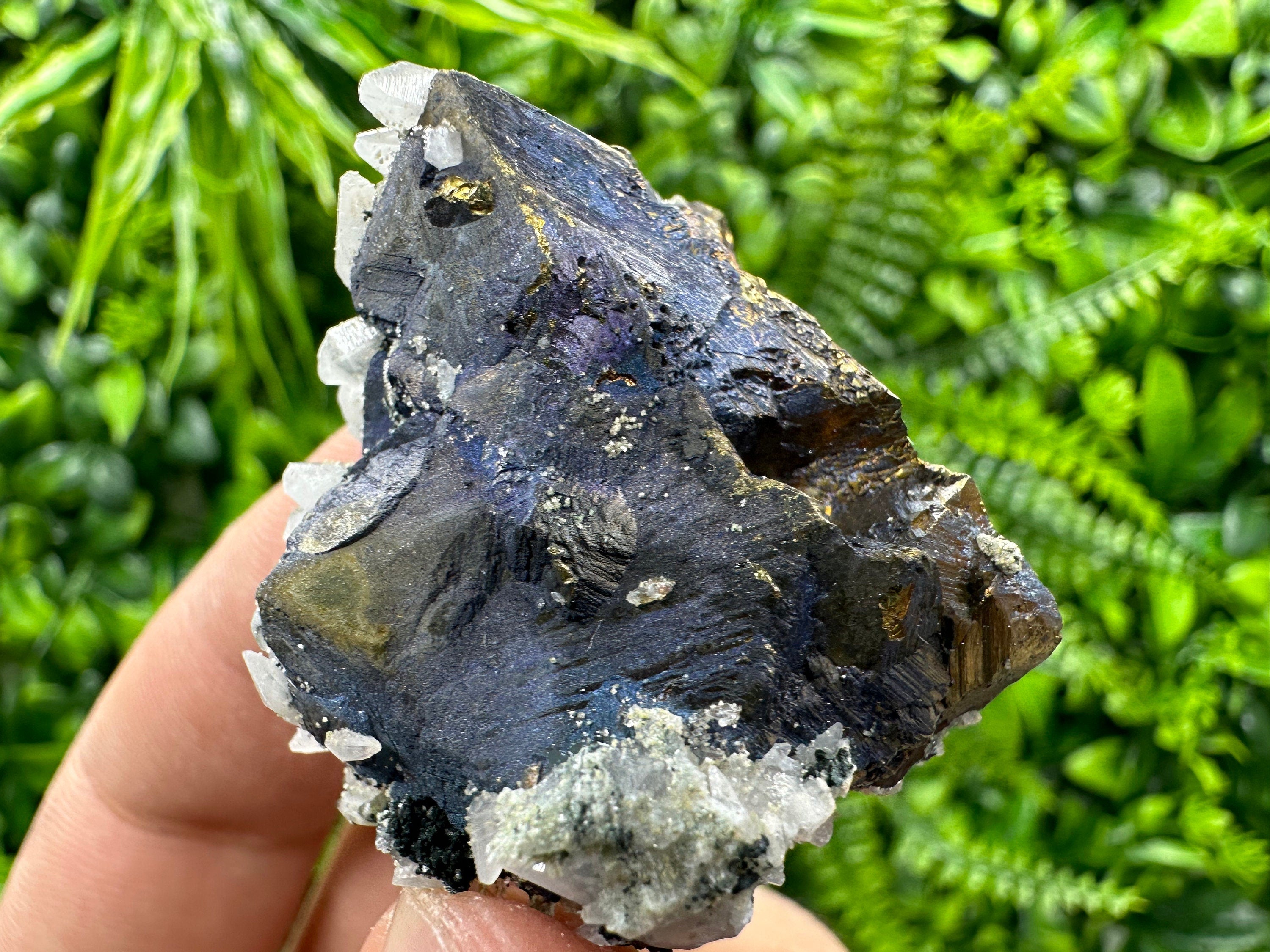 Chalcopyrite Borinite Covelline Mineral Specimen: Djurcovo Mine, Bulgaria