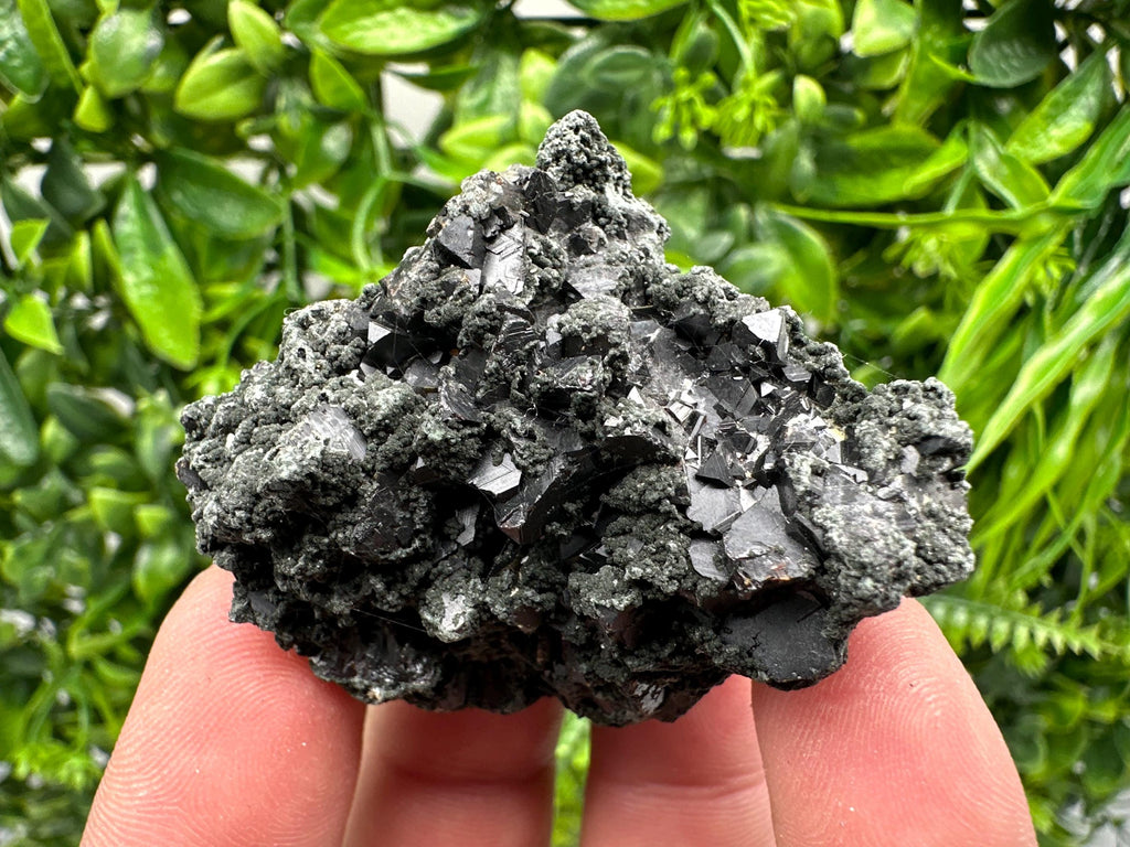 Sphalerite Galena with Chlorite Mineral Specimen, Bulgaria