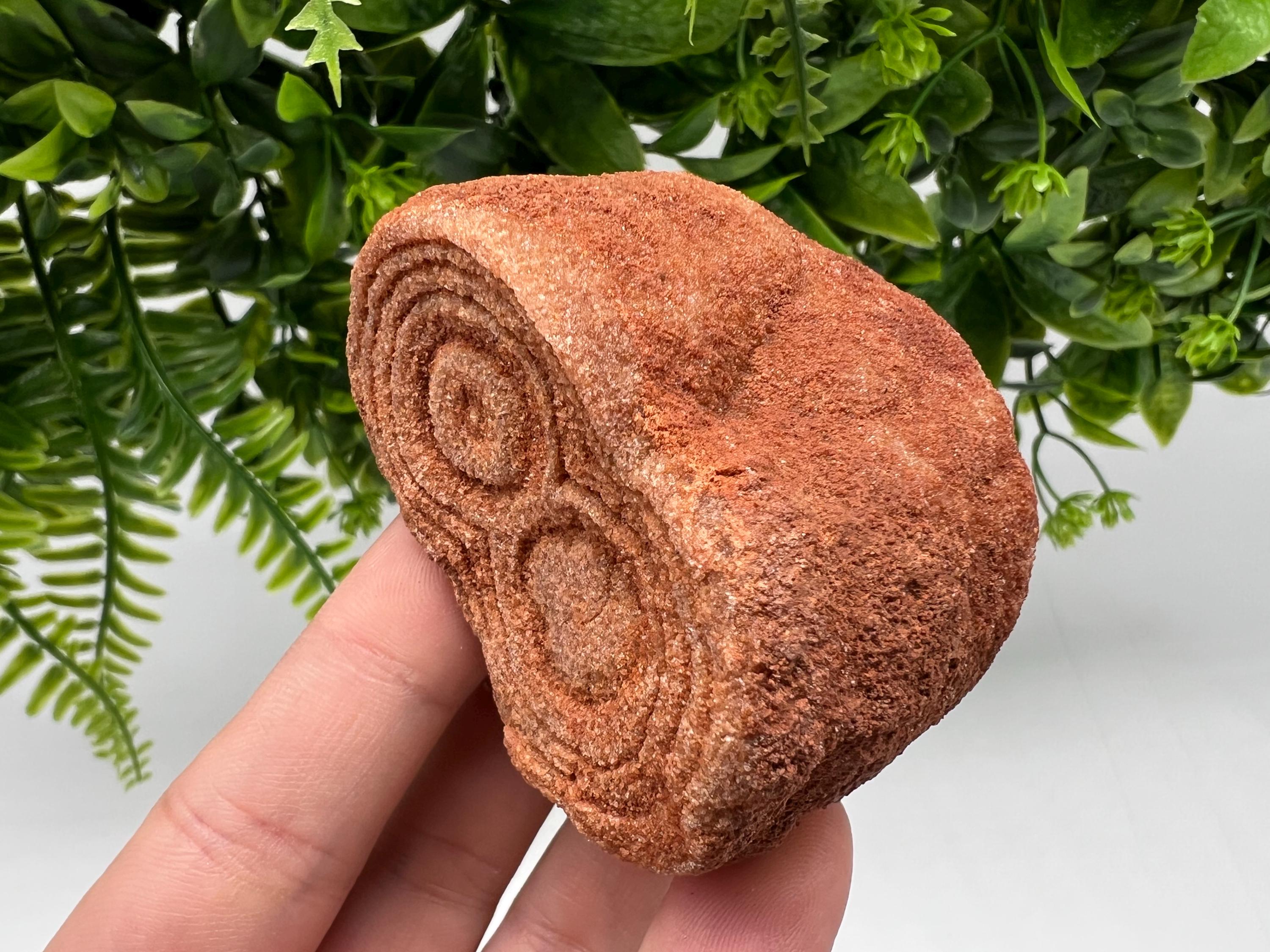 Raw Moroccan Stromatolite Fossil Specimen, Grounding Meditation Stone