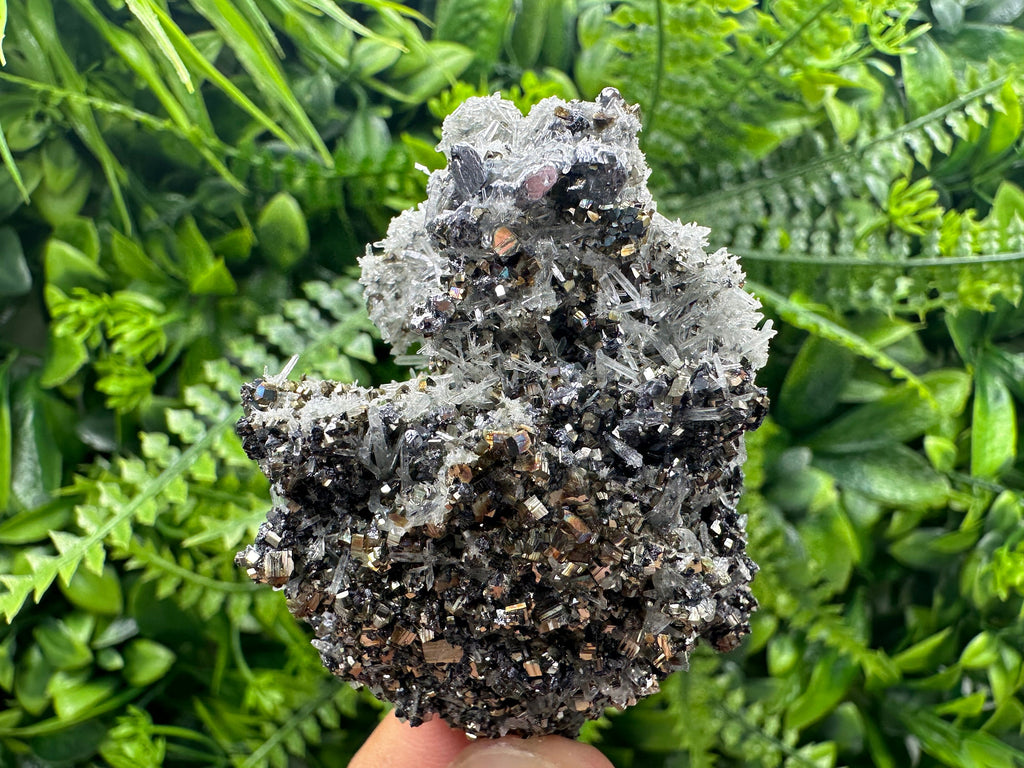 Galena Pyrite Sphalerite with Quartz, Borieva Mine Mineral Specimen