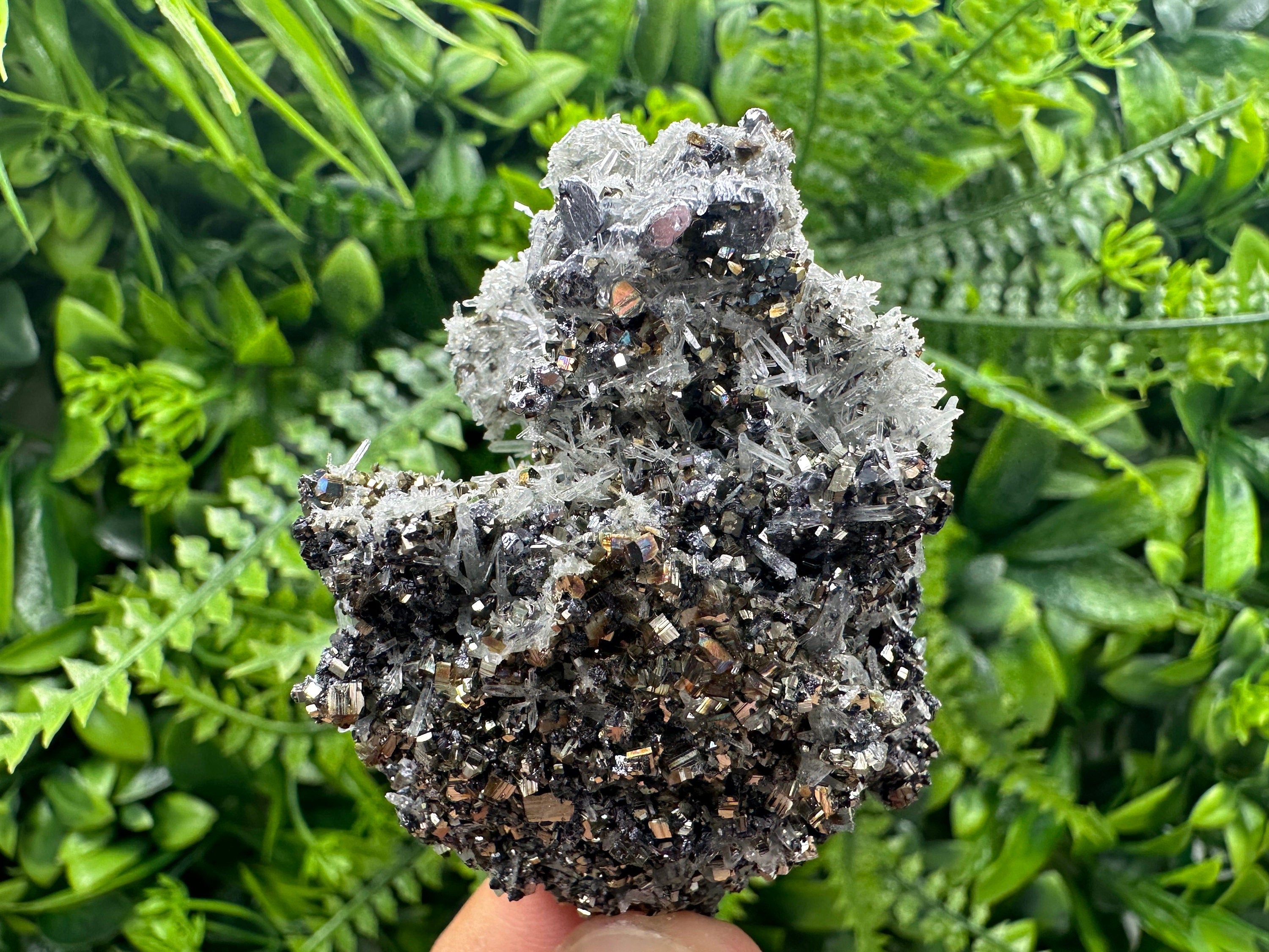 Galena Pyrite Sphalerite with Quartz, Borieva Mine Mineral Specimen