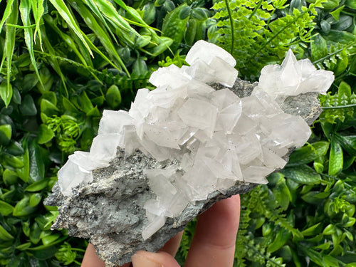 Borieva Mine Pyrite Calcite Cluster on Matrix: Bulgaria Home Decor Stone