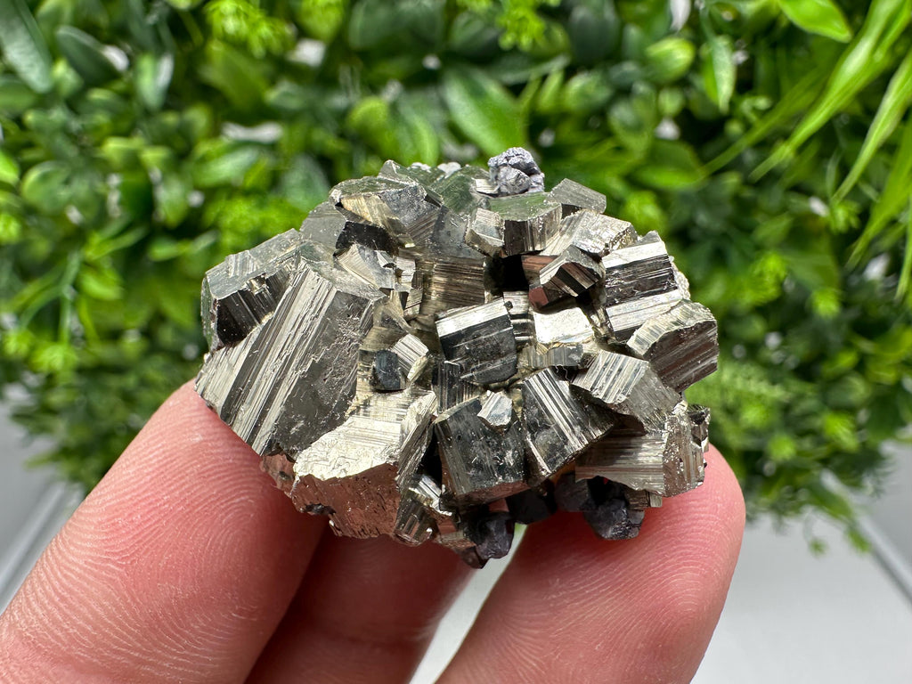 Golden Pyrite Cluster, Sphalerite Mineral Specimen, Bulgaria