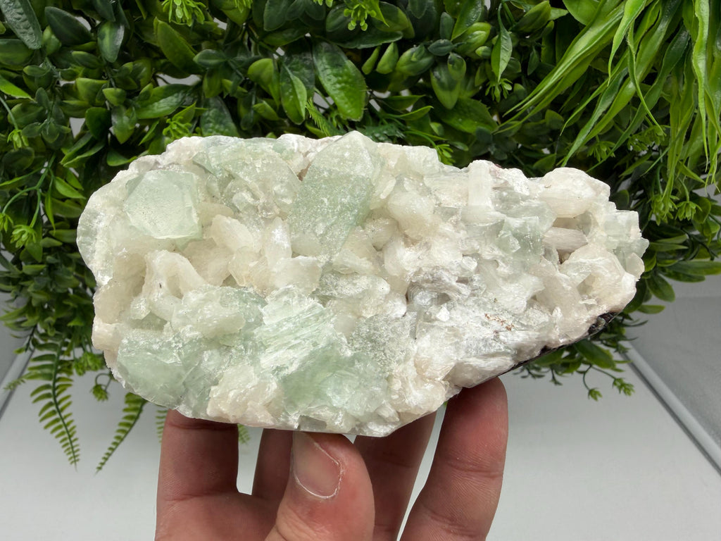 Green Apophyllite with Stilbite, India Crystal Specimen