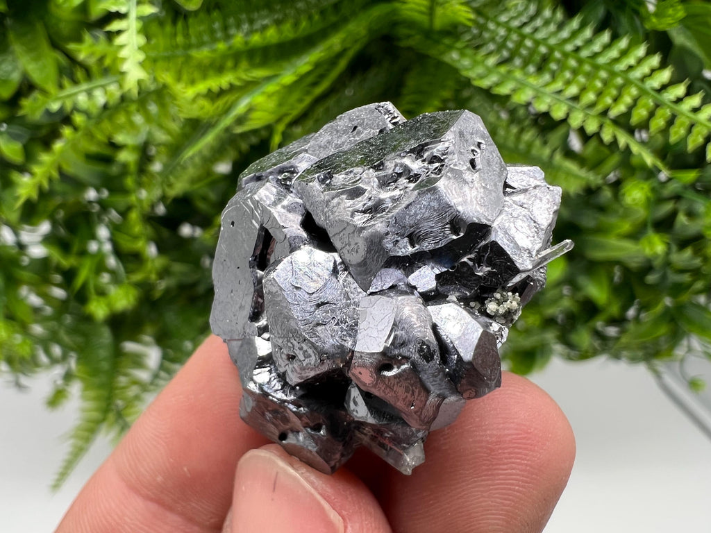 Skeletal Galena on Quartz, Borieva Mine Mineral Specimen