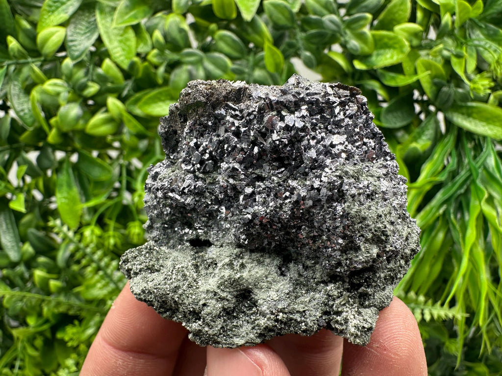 Skeletal Galena on Chlorite Matrix, Borieva Mine Mineral Specimen