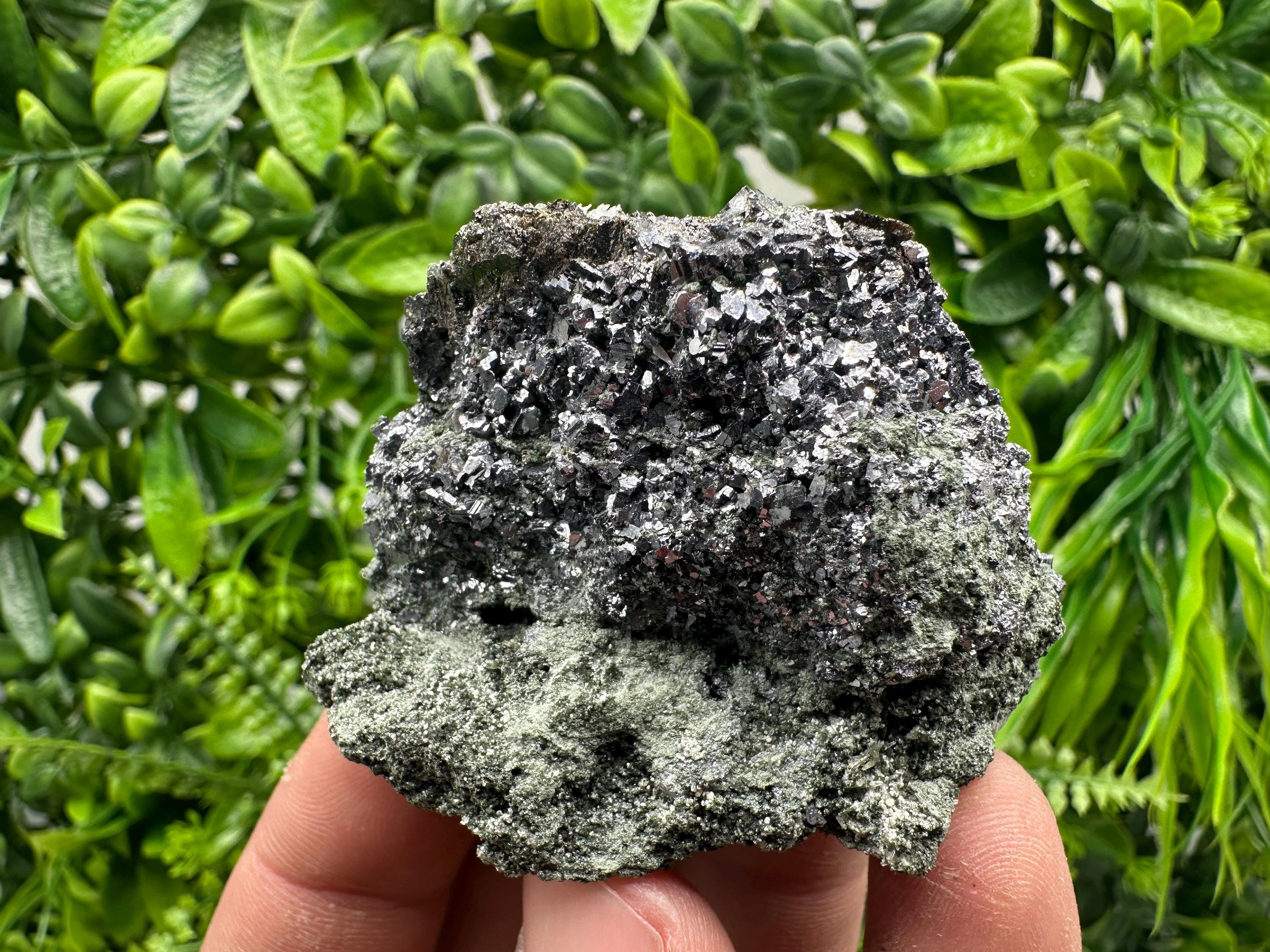 Skeletal Galena on Chlorite Matrix, Borieva Mine Mineral Specimen
