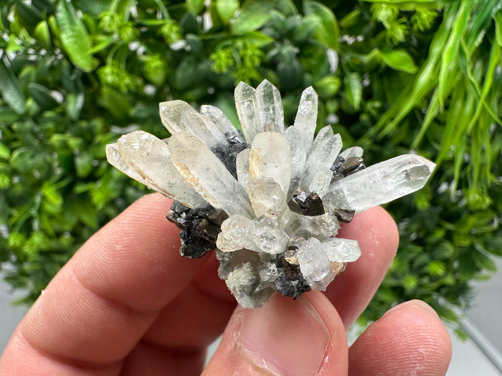 Wonderful Sphalerite Chalcopyrite on Green Quartz whit Hematite feom 9 th September mine,Bulgaria,natural,collection mineral specimen,gift