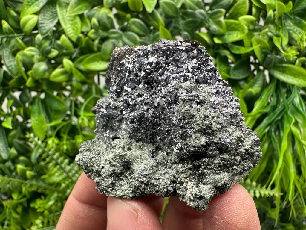 Skeletal Galena on Chlorite Matrix, Borieva Mine Mineral Specimen