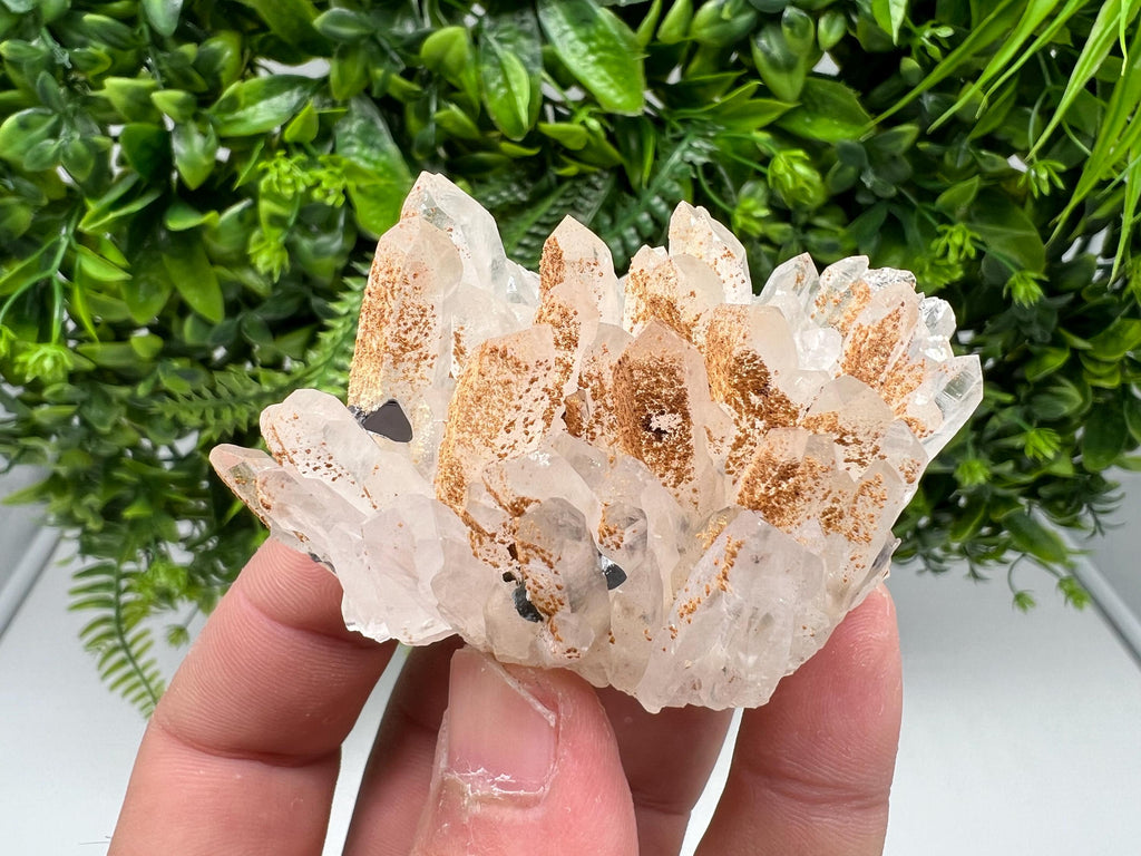 Stunning Quartz covered whit iron oxide limonite natural minerals souvenir crystal home decor stone collection minerals 9 th September mine