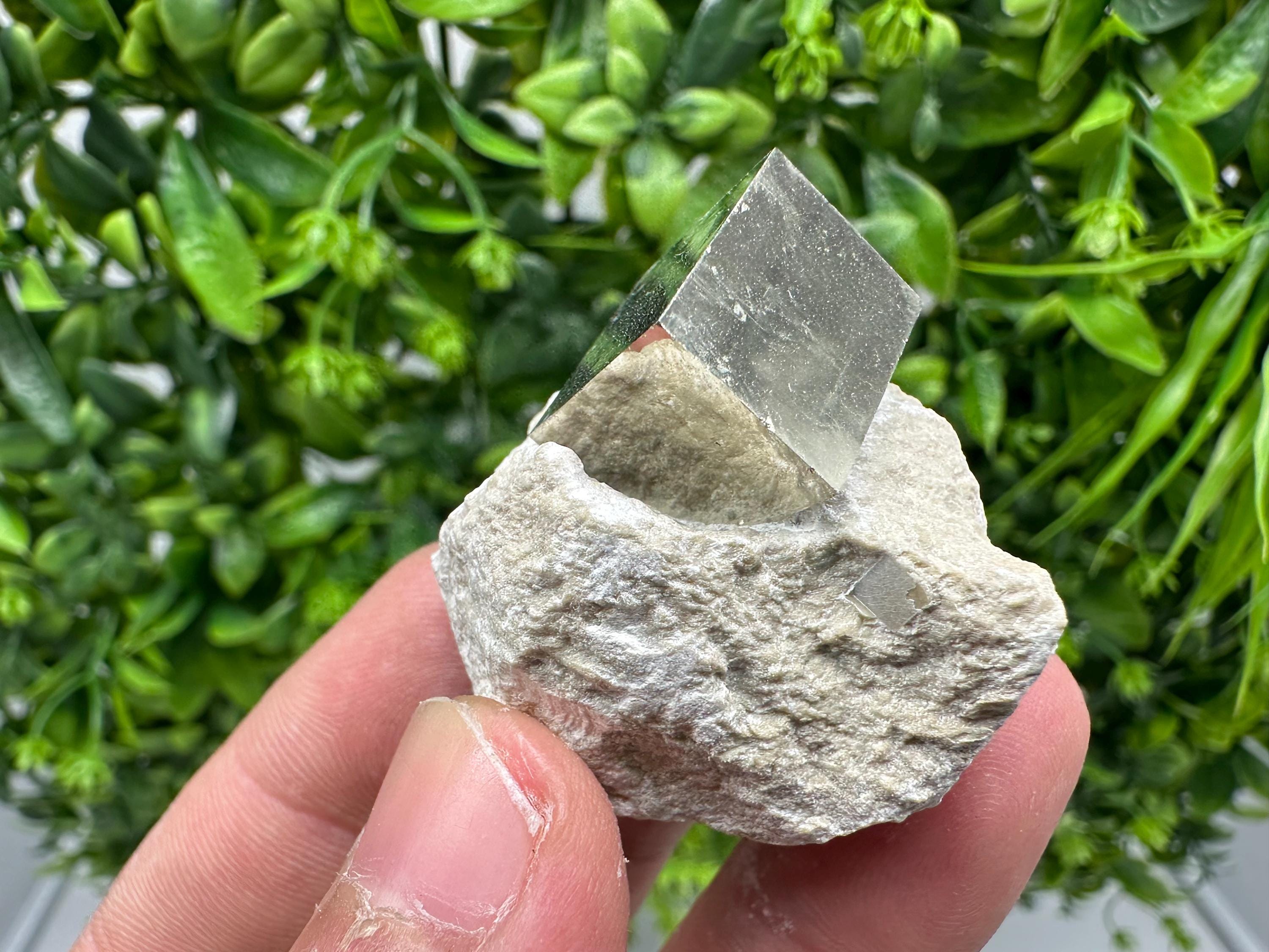 Large Pyrite Cube on Matrix: Shiny Mineral Specimen, La Rioja Spain