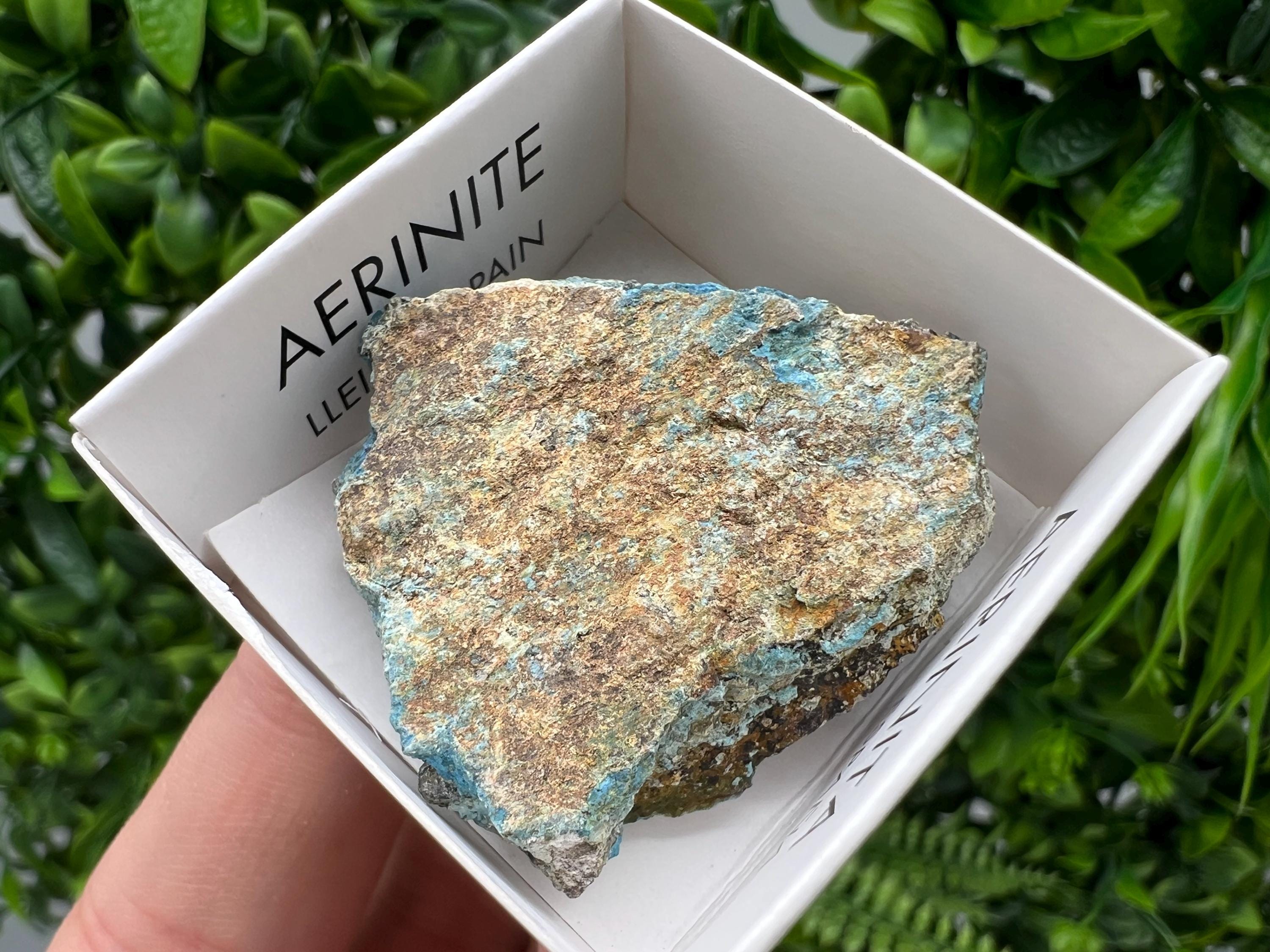 Rare Raw Aerinite Mineral Specimen: Collection Crystal from Lleida, Spain (3.5/3.5 CM)