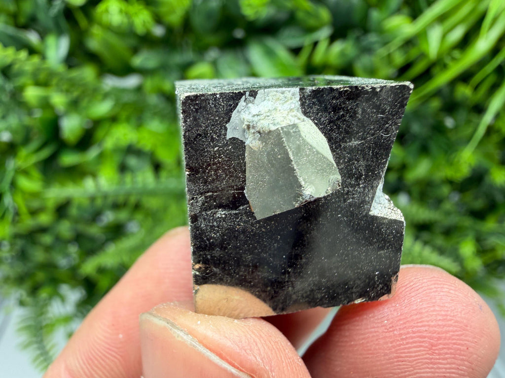 Interjoined Pyrite Cube, Shiny Mineral Specimen, La Rioja Spain