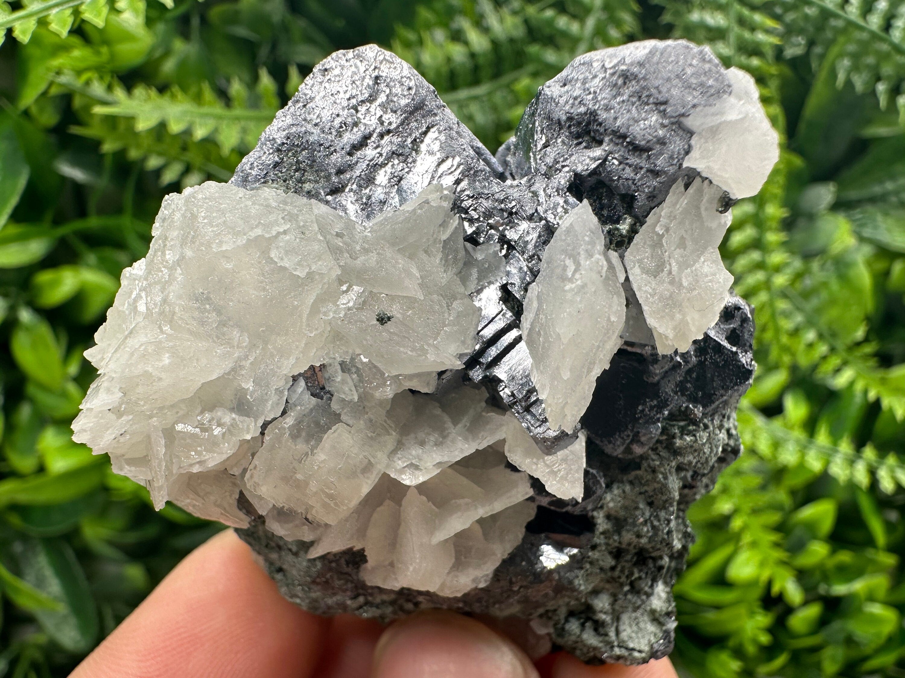 Galena on Sphalerite & Calcite: Natural Mineral Souvenir from Borieva Mine, Bulgaria