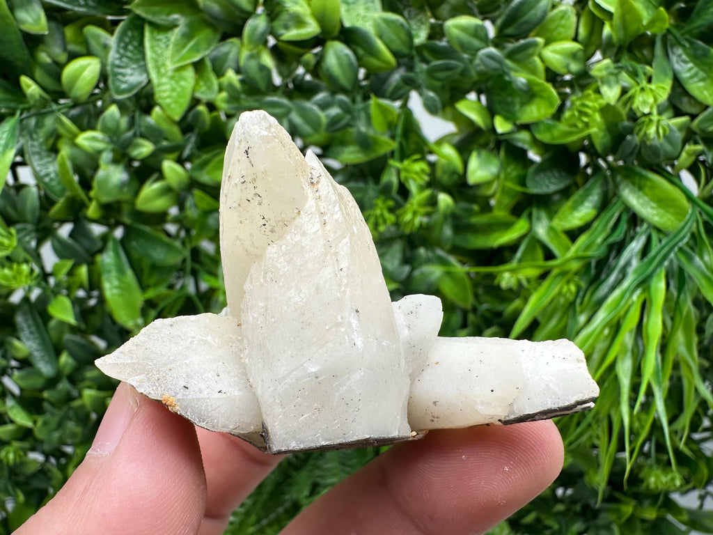 Calcite on Aragonite: Djurcovo Mine, Bulgaria Crystal