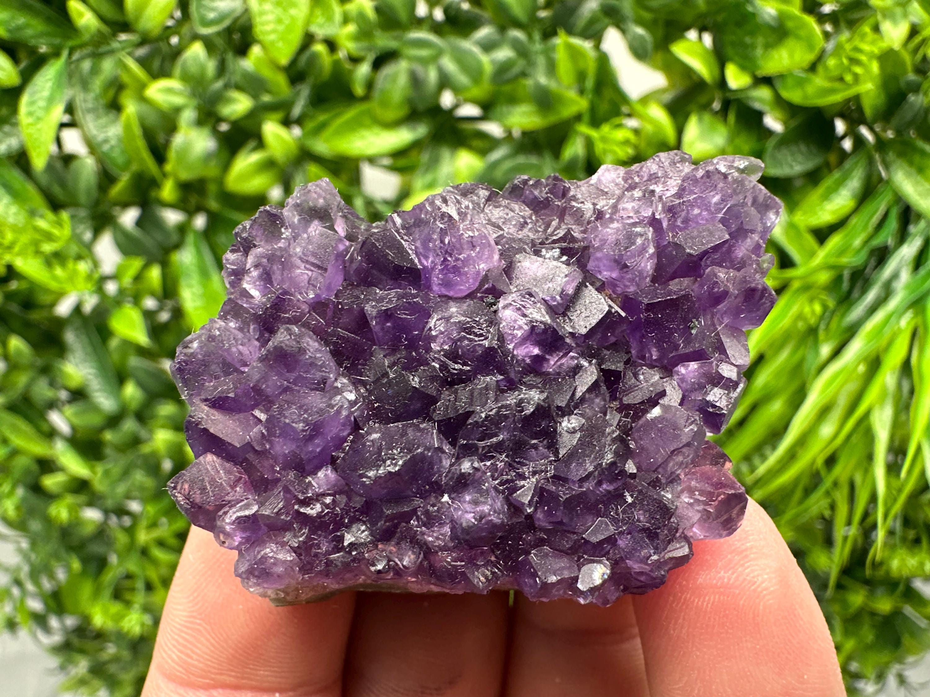 Uruguay Amethyst Cluster: Purple Quartz Crystal, Home Decor