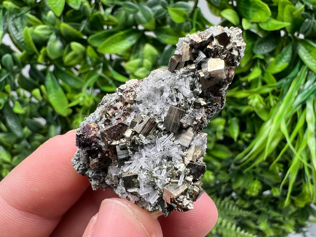 Pyrite on Green Quartz Mineral Specimen, Borieva Mine Bulgaria