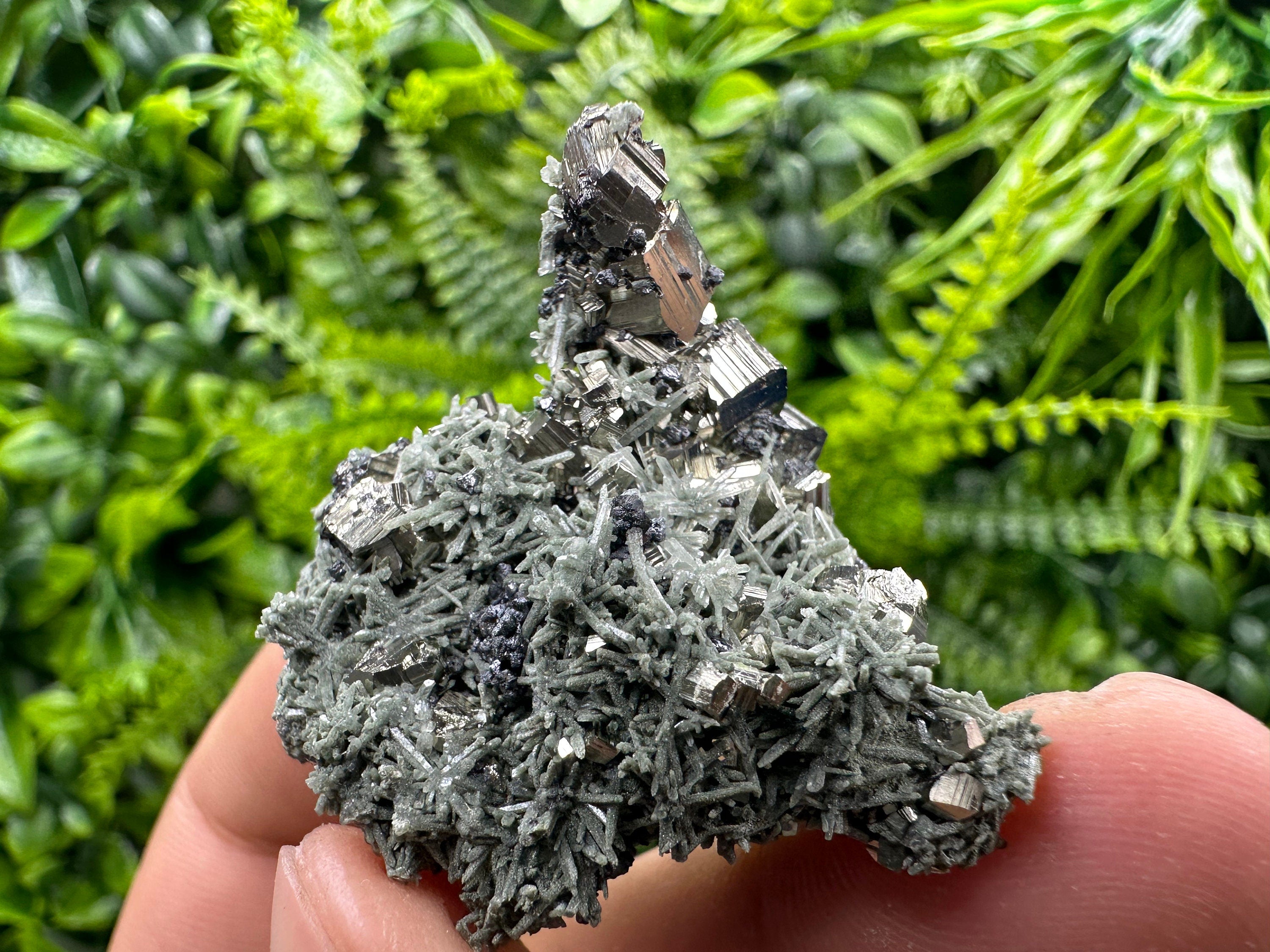 Crystallized Pyrite on Green Quartz: Borieva Mine, Bulgaria