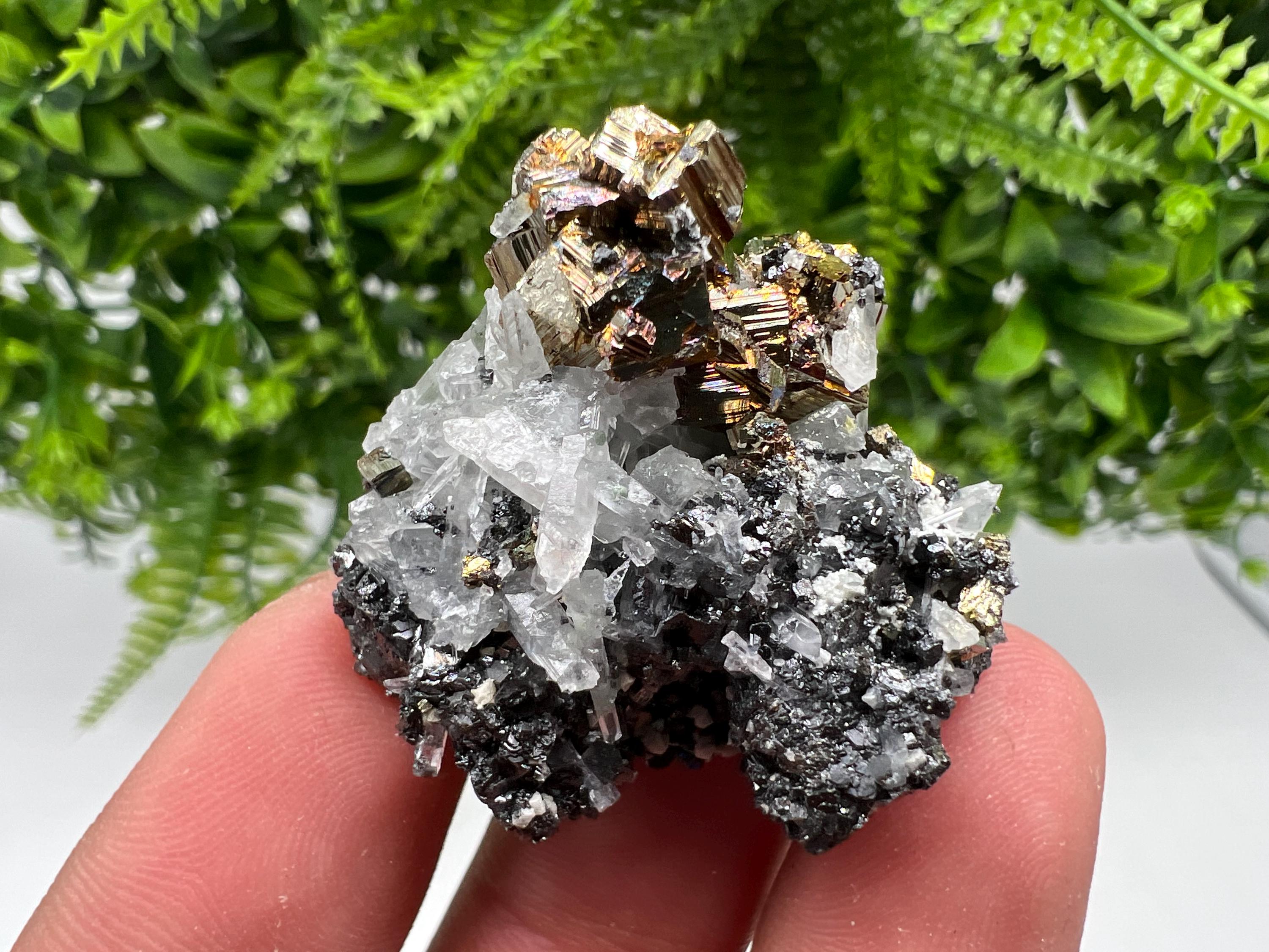 Wonderful Quartz whit Pyrite natural minerals crystal souvenir stone,collection minerals specimen,gift,home decor crystal,Borieva mine,