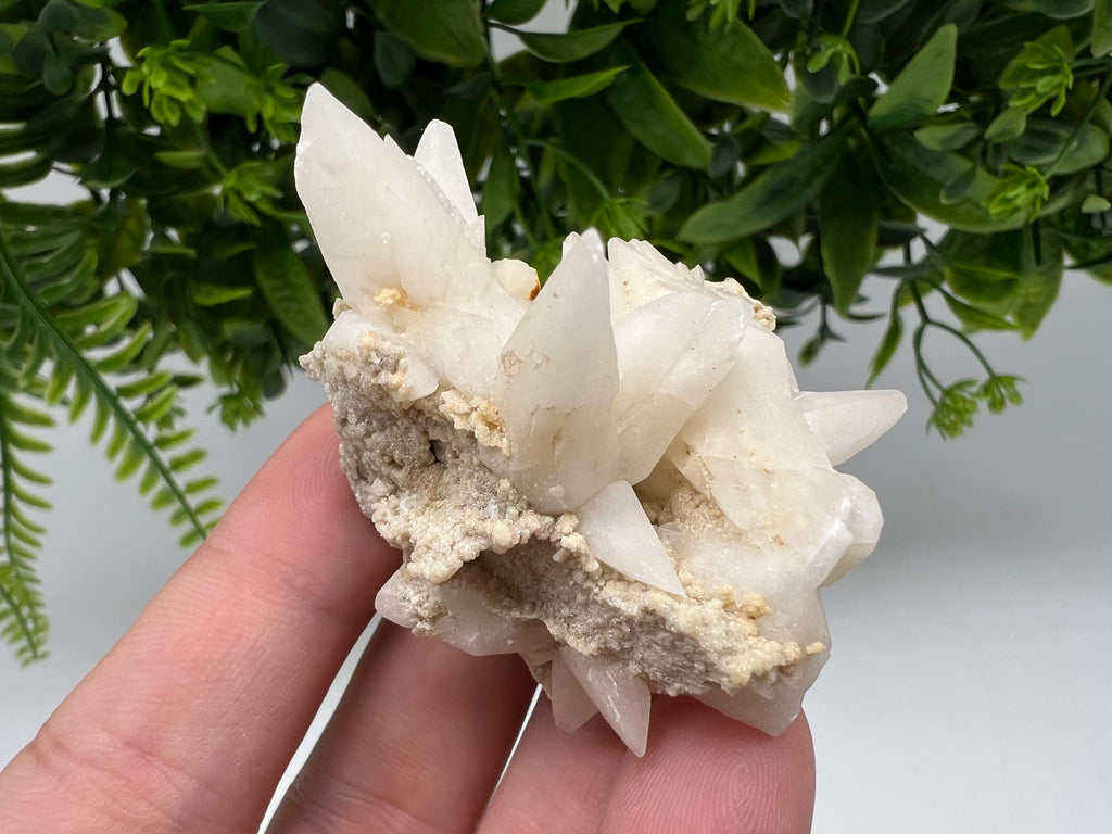 Calcite on Green Quartz: Djurcovo Mine, Bulgaria Healing Crystal