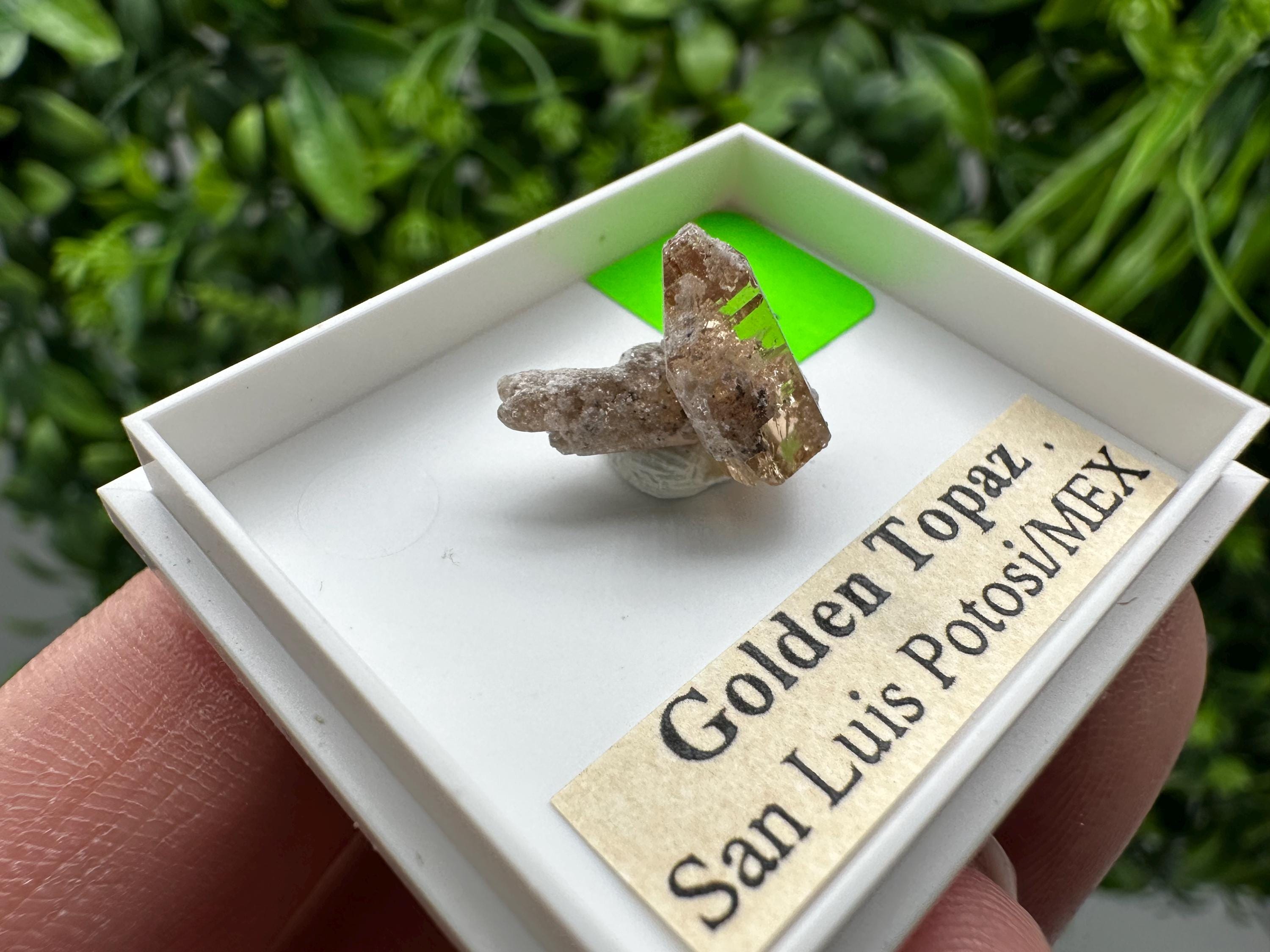 Golden Topaz Crystal, Mineral Specimen from Mexico