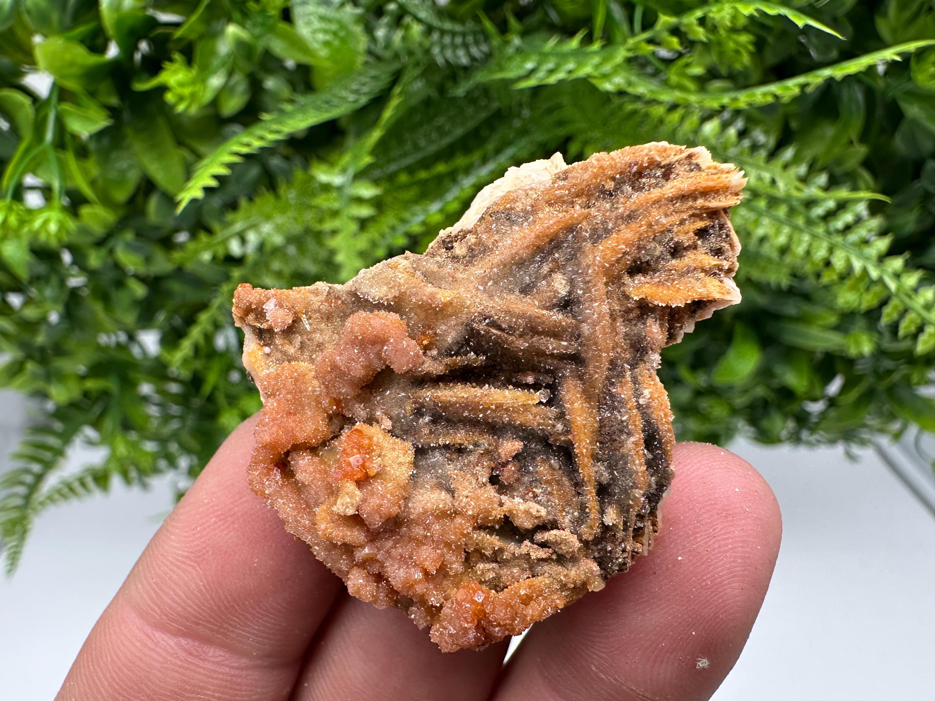 Red Vanadinite on Barite, Morocco Crystal Specimen
