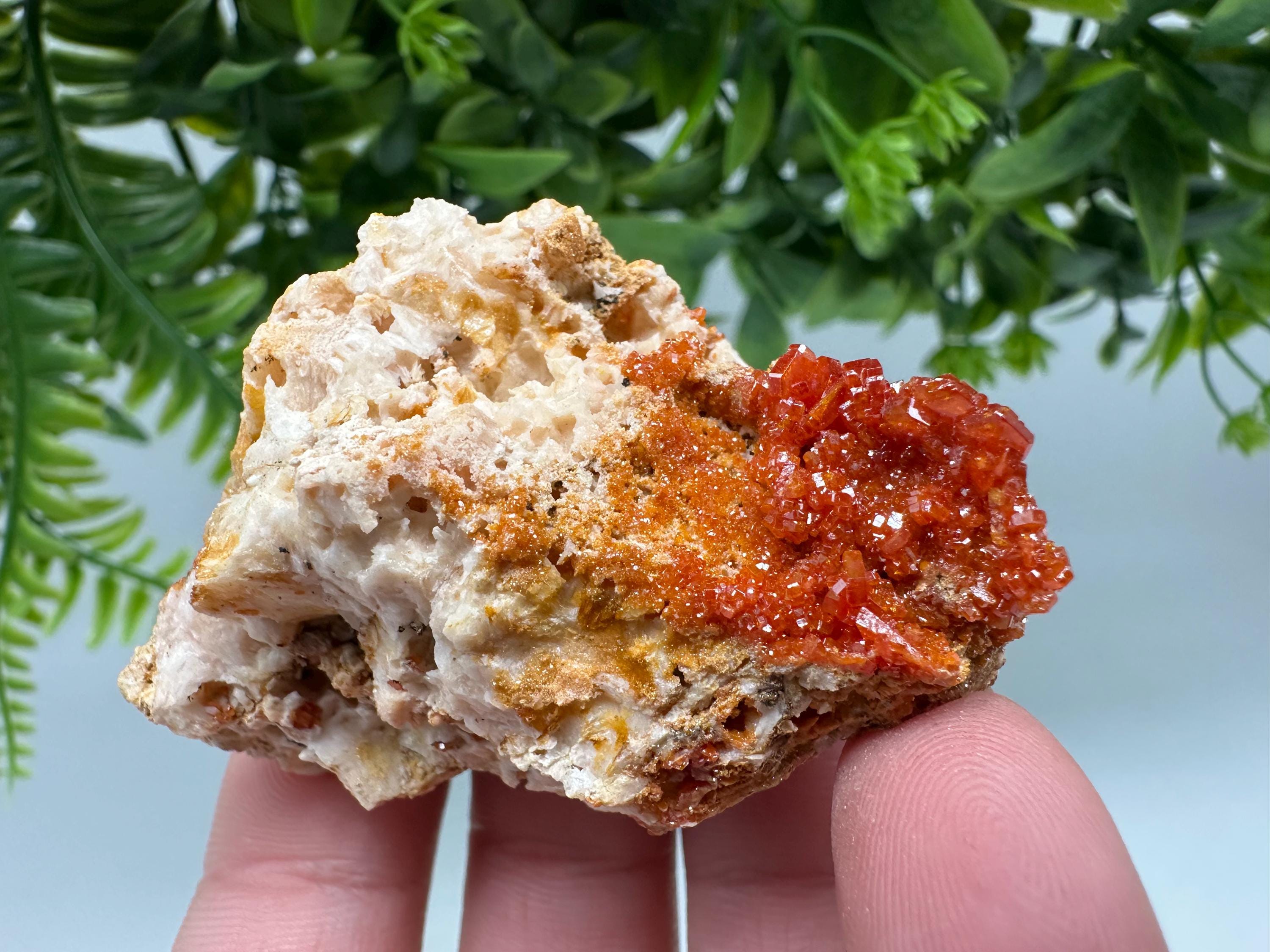 Red Vanadinite on Barite from Marocco,crystal minerals Speciment cluster Vanadinite crystal Vanadinite Geology Vanadinite cluster minerals