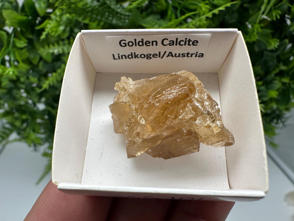 Raw Honey Calcite Crystal: Rough Golden Stone (3.5/2.5 cm)