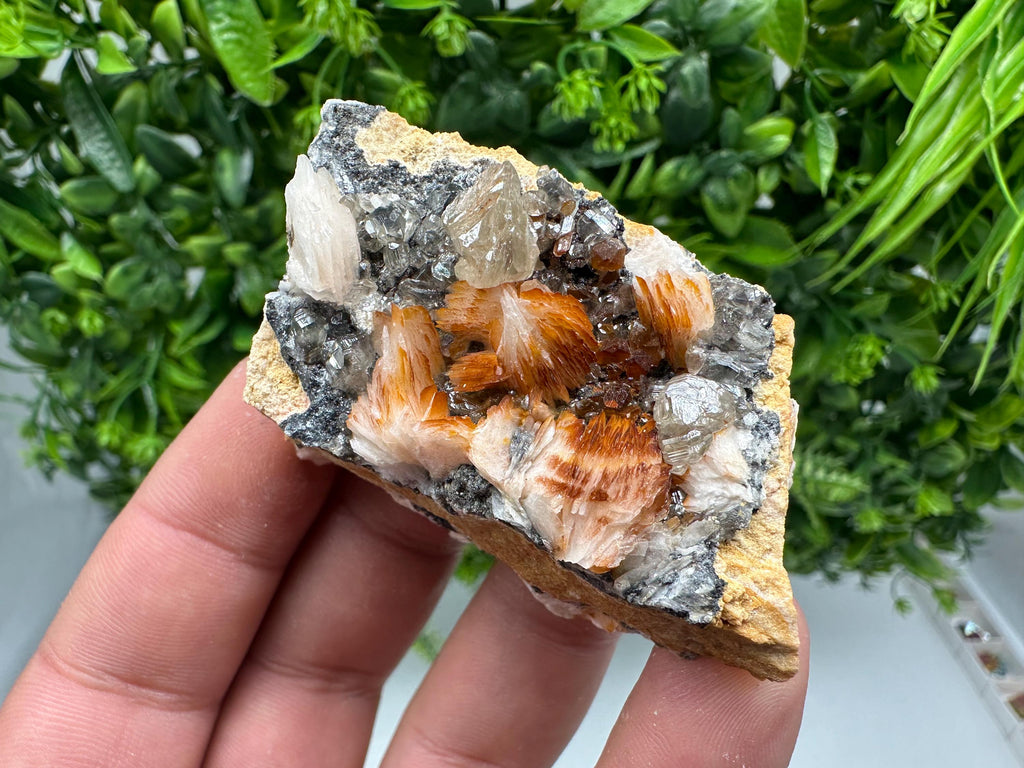 Wonderful Baryte with Cerussite on Galena from Morocco,Crystal, Mineral,Specimen,Cluster,Crystals,Barite Crystal,Cerussite Crystal,Specimen