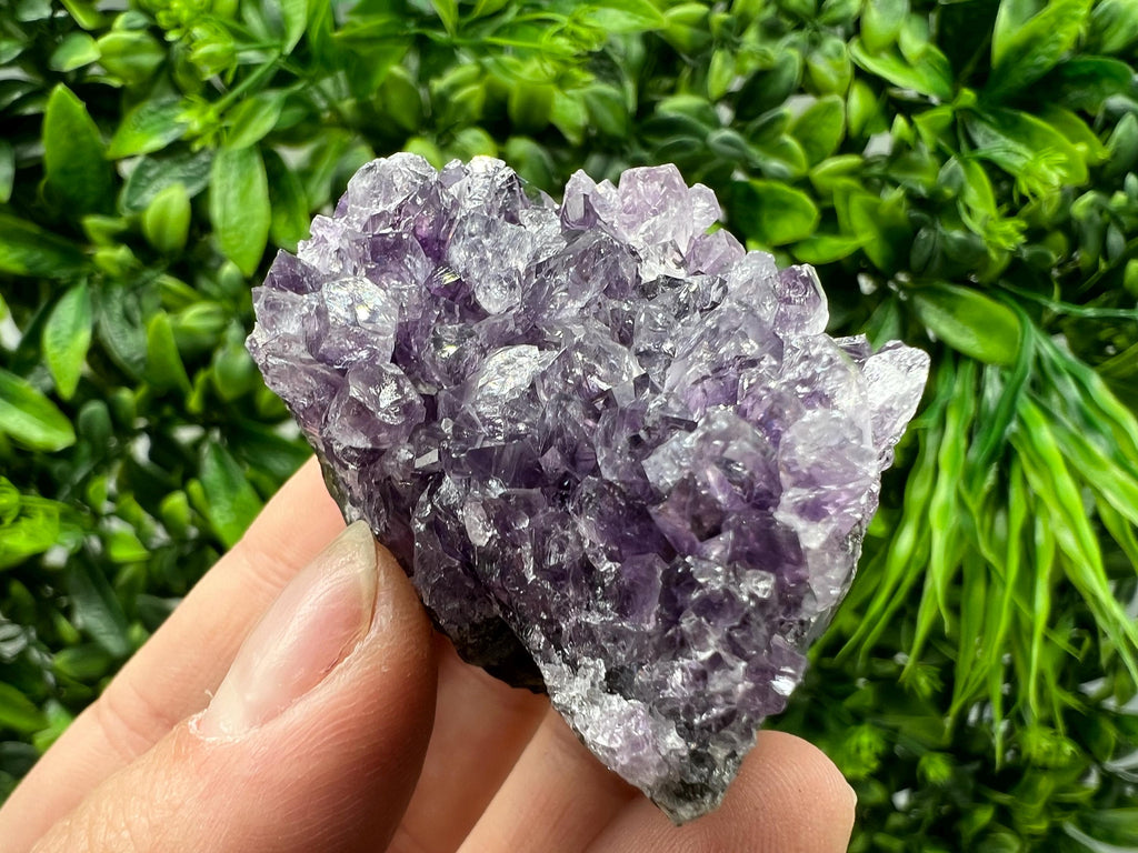Uruguay Amethyst Crystal: Purple Quartz Phantom - Home Decor