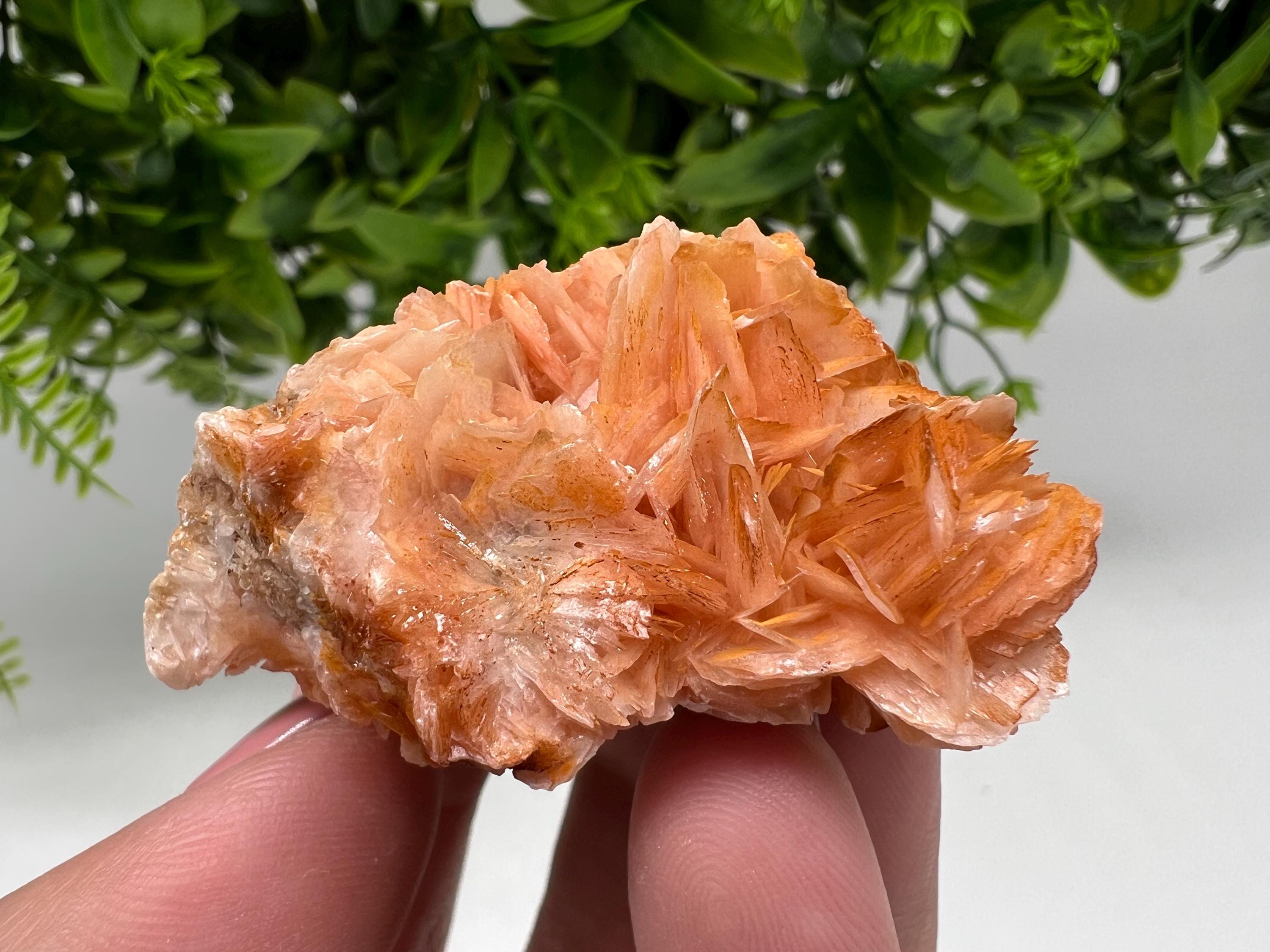 Wonderful Baryte with Cerussite on Galena from Morocco,Crystal, Mineral,Specimen,Cluster,Crystals,Barite Crystal,Cerussite Crystal,Specimen