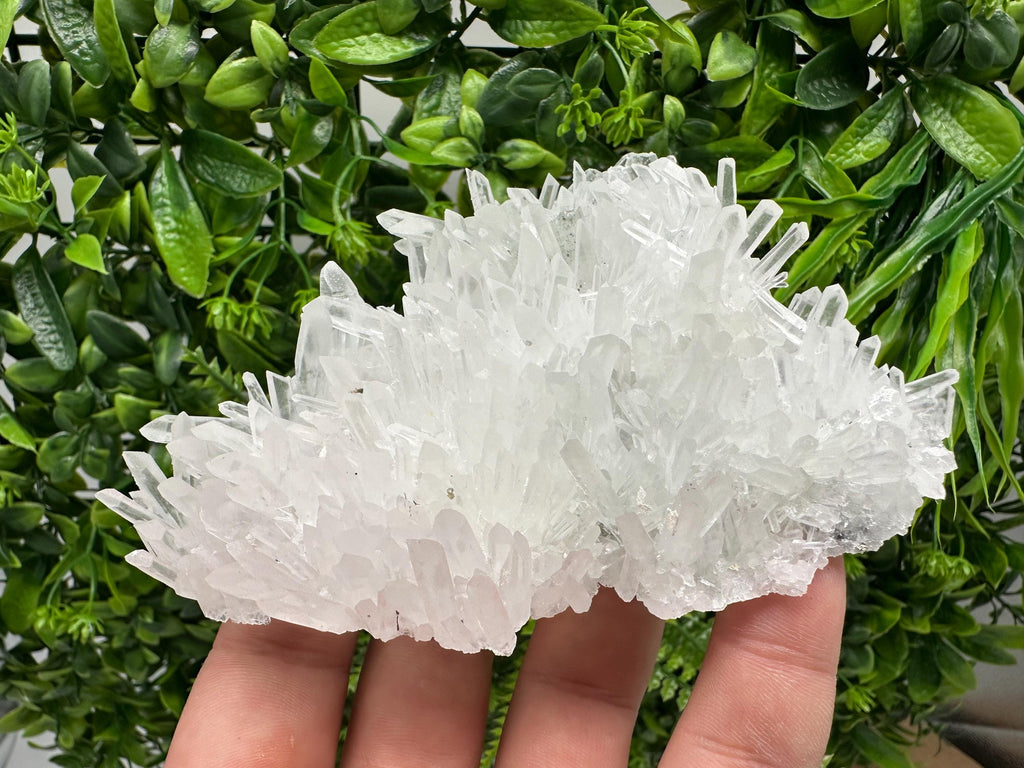 Stunning Transparent Quartz,from Borieva mine,natural collection mineral specimen rare crystal,home decor crystal,quartz cluster,Quartz,gift