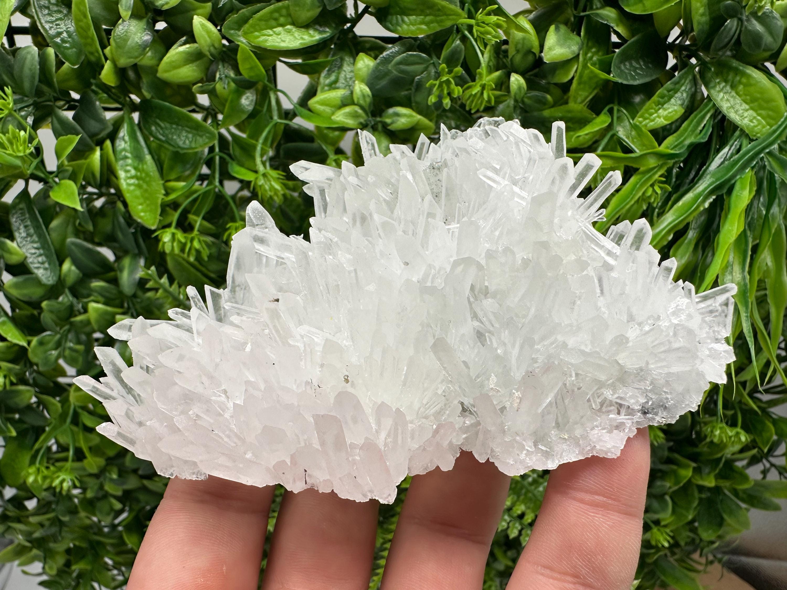 Stunning Transparent Quartz,from Borieva mine,natural collection mineral specimen rare crystal,home decor crystal,quartz cluster,Quartz,gift