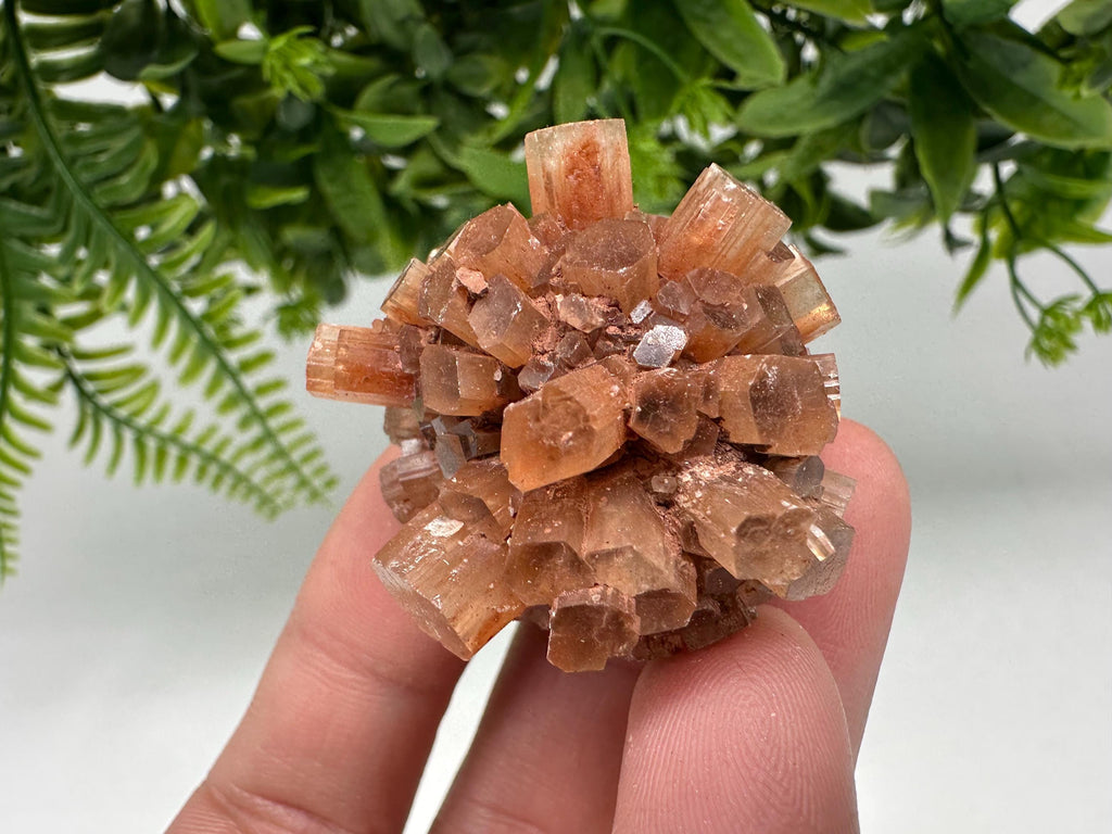 Aragonite Sputnik Cluster: Raw Moroccan Crystal Stone, Home Decor