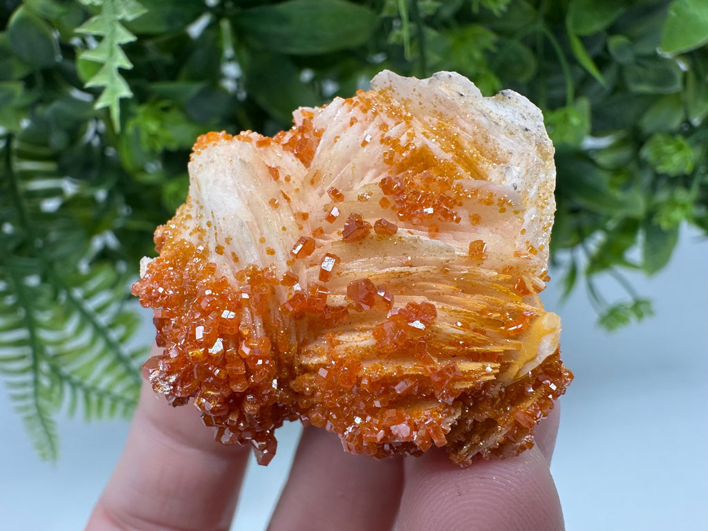 Red Vanadinite on Barite Cluster, Moroccan Mineral Specimen (4/4/2 cm)