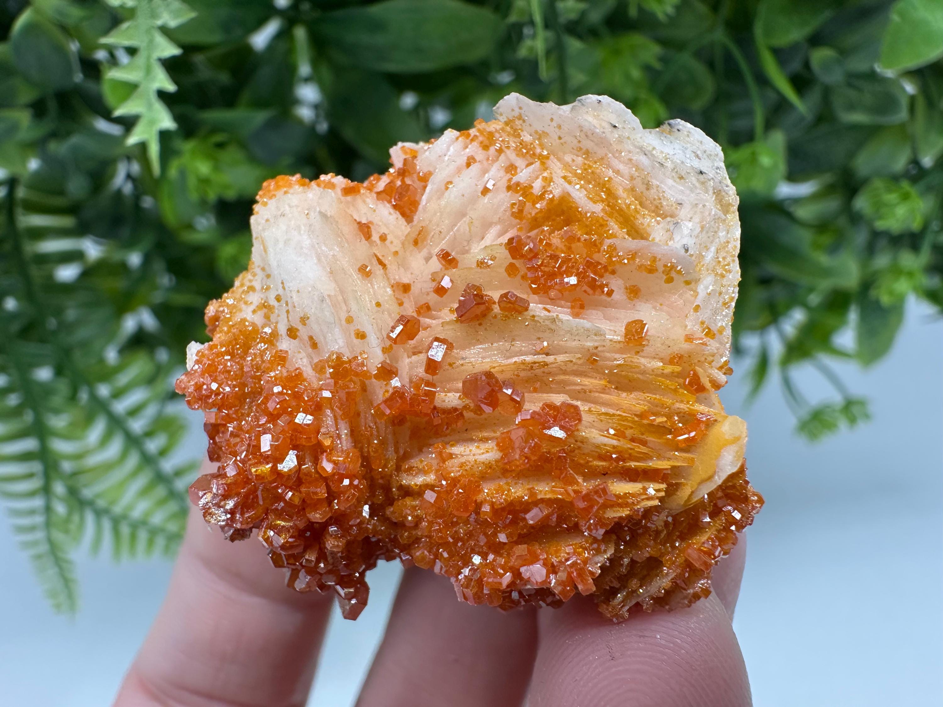 Red Vanadinite on Barite Cluster, Moroccan Mineral Specimen (4/4/2 cm)