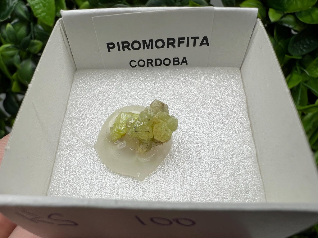 Pyromorphite Stone / Pyromorphite on Matrix / Pyromorphite Crystal / Raw Crystal / Pyromorphite Cluster / Rough Pyromorphite / Pyromorphite