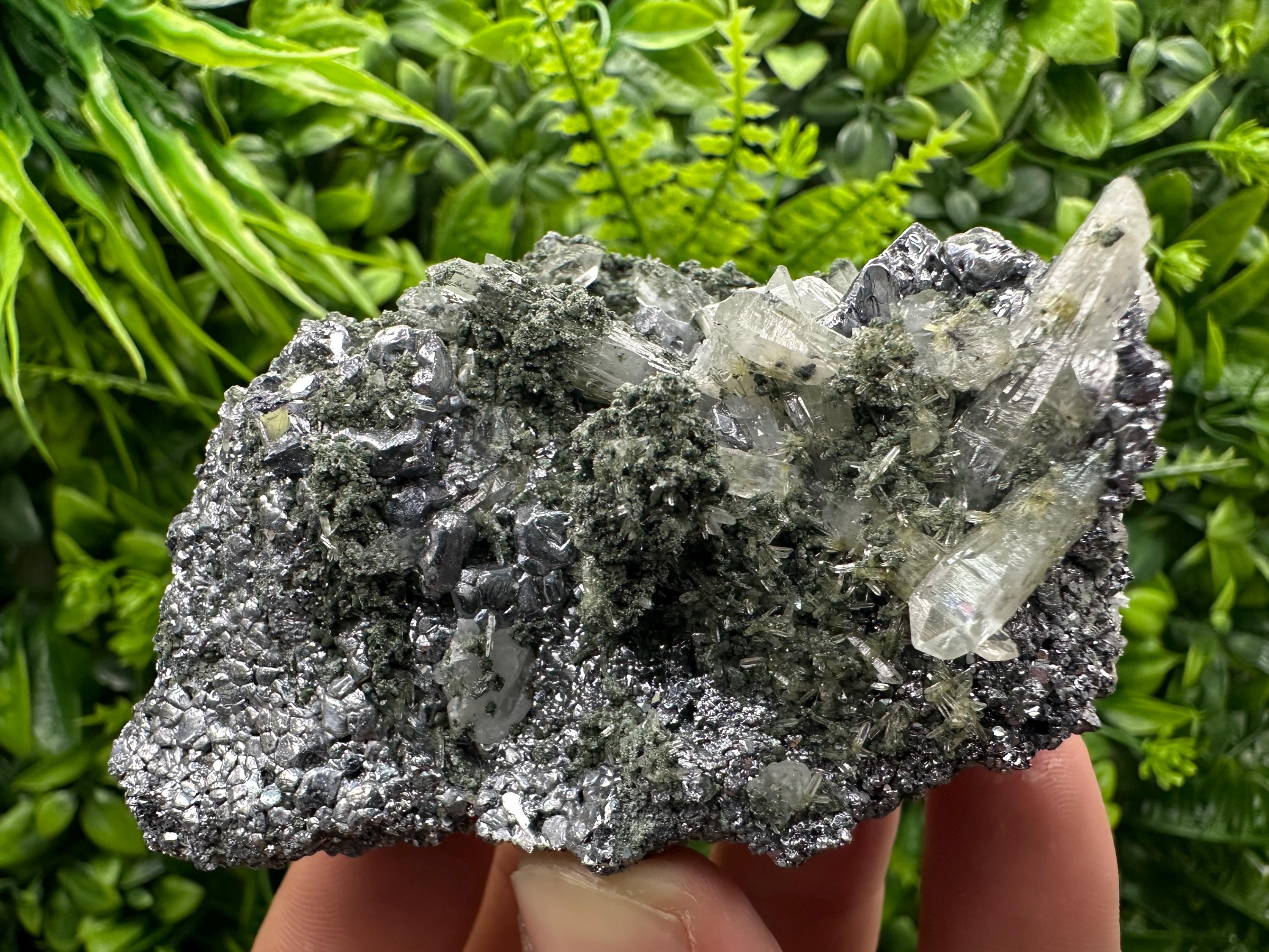 Galena with Quartz and Chlorite, Bulgaria Mineral Specimen