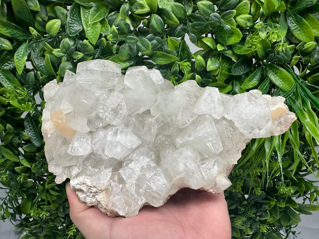 Large Apophyllite Stilbite on Chalcedony, India Mineral Specimen