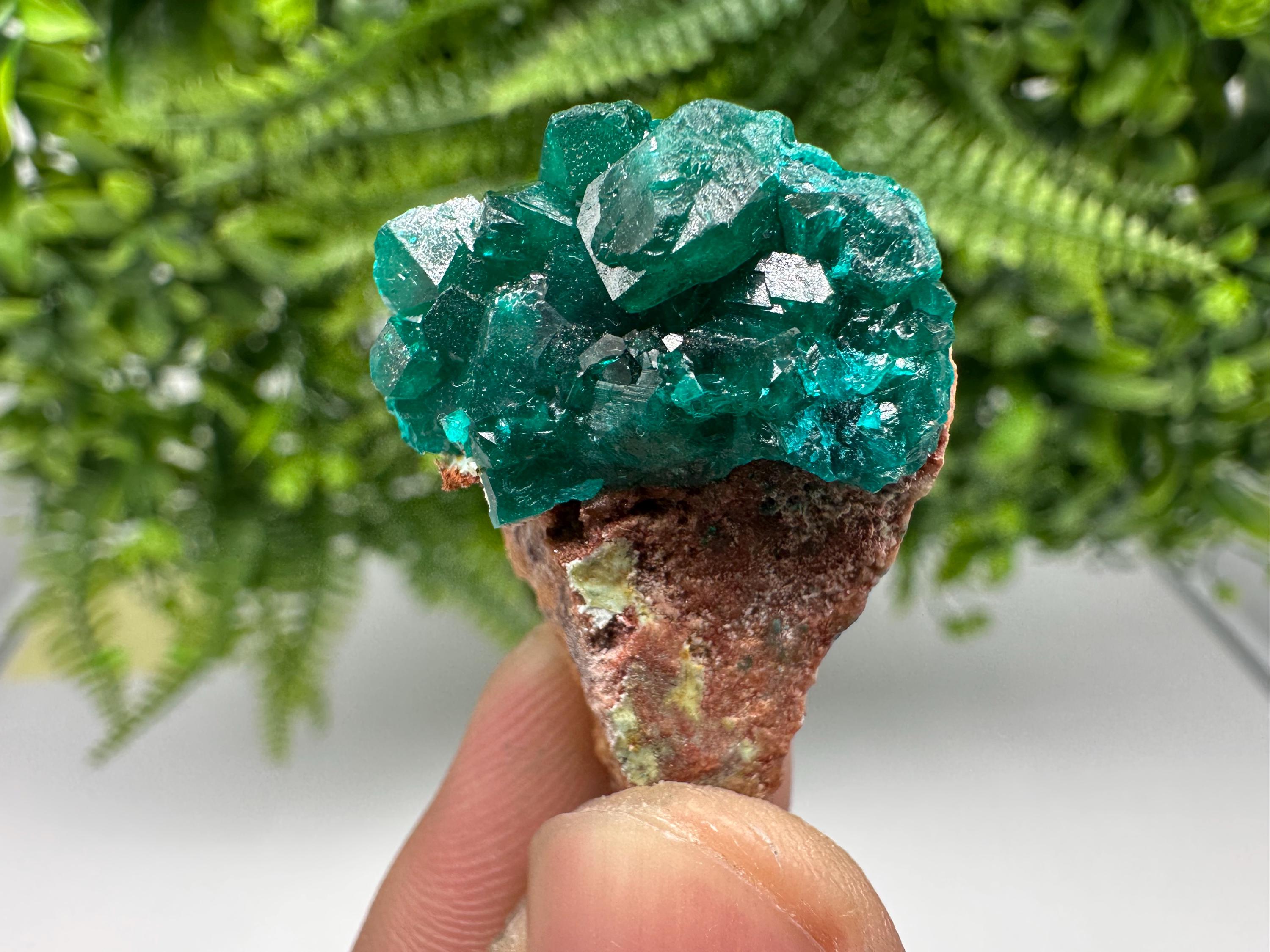Stunning Green Dioptase from Sanda Hills,Mindouli,Pool Department,Mindouli District,Congo,green Dioptase,Dioptas Crystal,Dioptase collecting