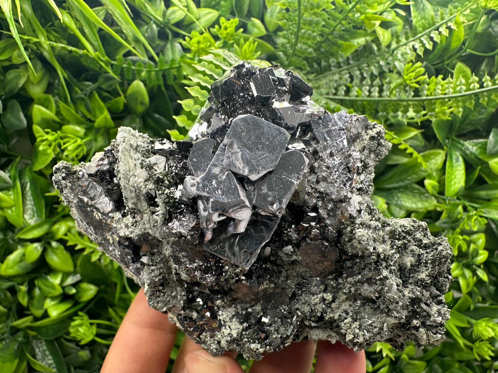 Shiny Galena Sphalerite on Quartz: Natural Mineral Souvenir